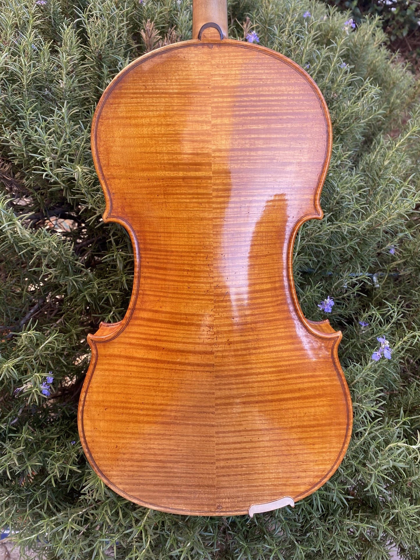 Chunyee Lu 16" viola, 1993, Chicago, USA