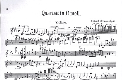 Strauss, Richard: String Quartet in C minor Op.13