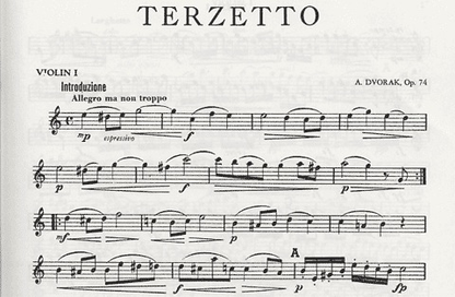 Dvorak: Terzetto Op.74 (2 violins & viola)