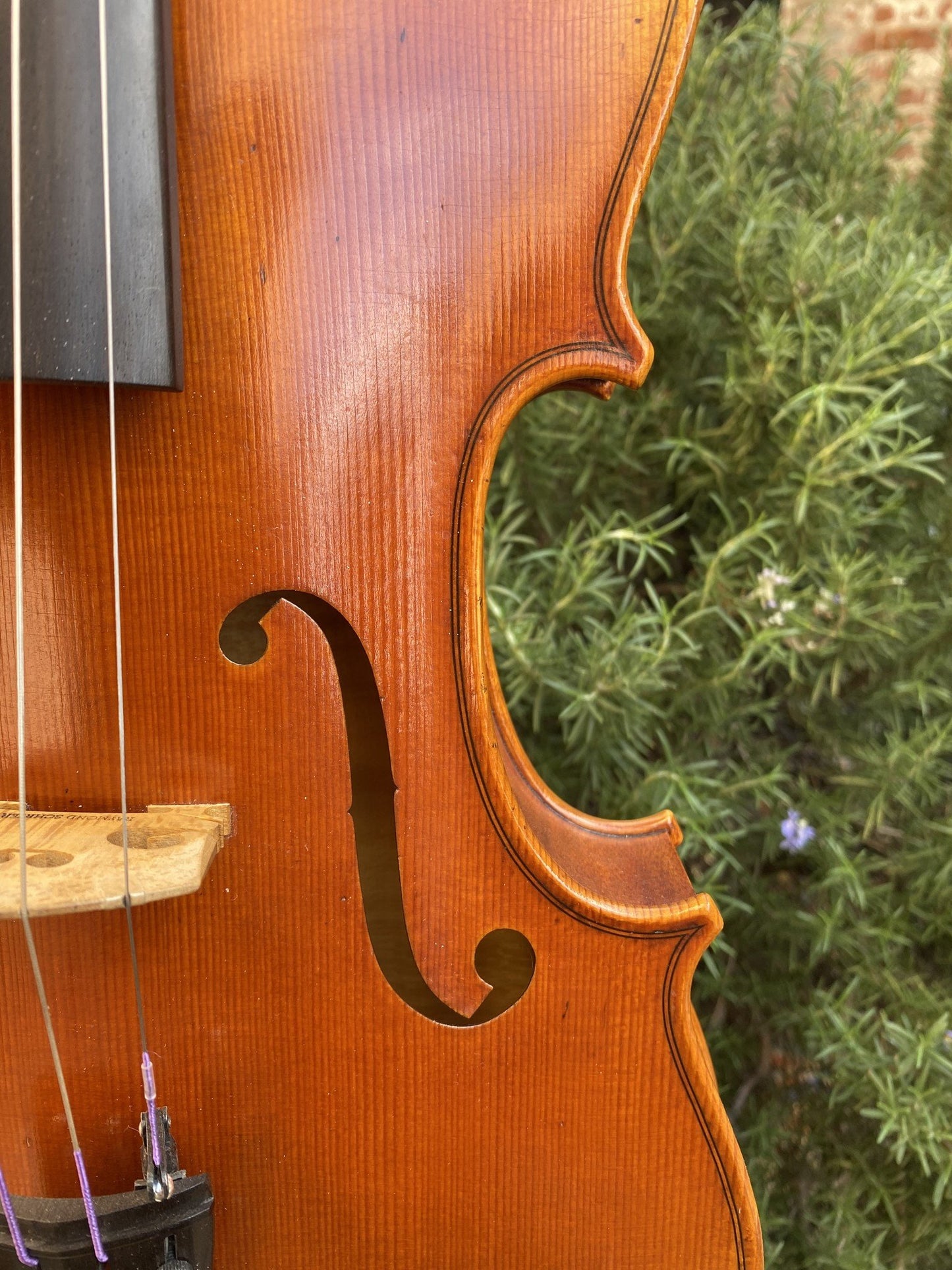Raymond Schryer 16 5/16" viola 1995 Hilton Beach, Canada