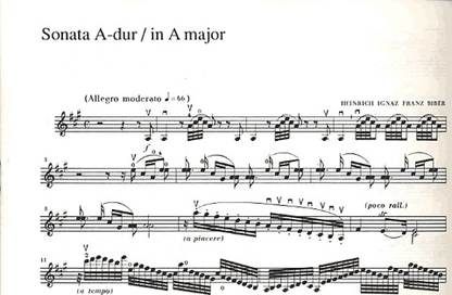 Biber, H.I.F.von: Two Sonatas (violin & piano)