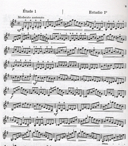 Laoureux, Nicolas: Supplement 1 to A Practical Method for Violin