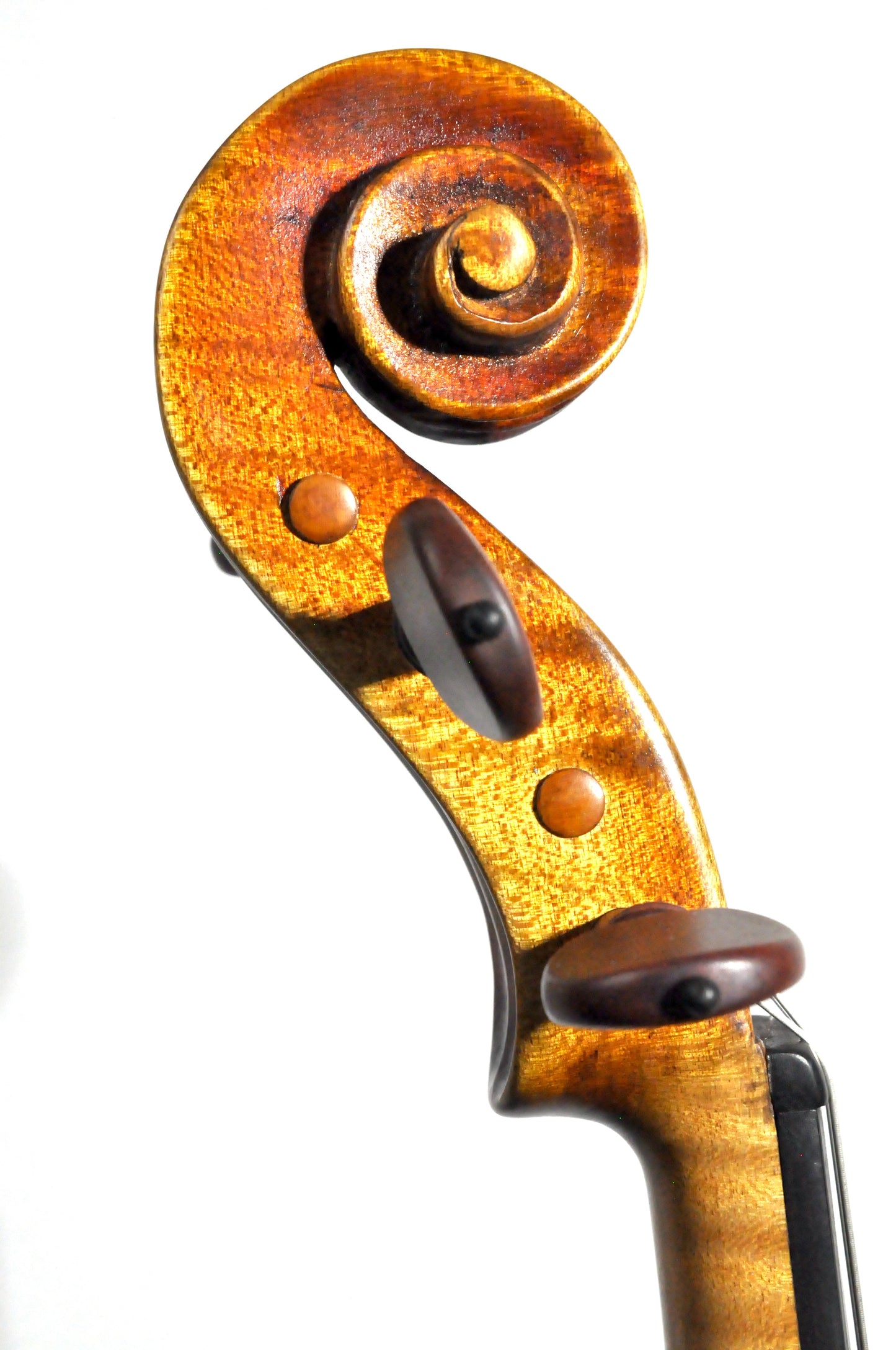 Kevin Crow violin, #27, "Catterina", Wisconsin, 2023 | Metzler Violins