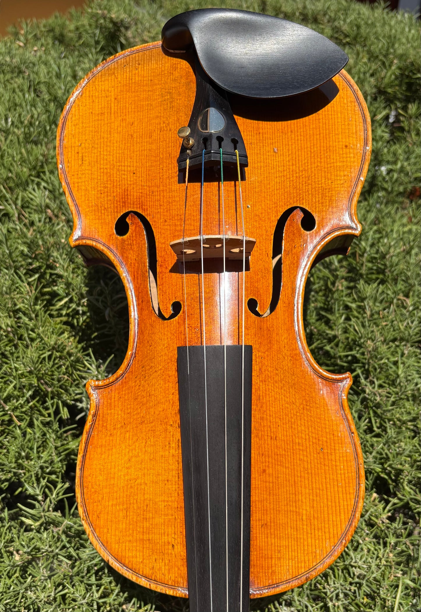 Celeste Farotti violin, Milan, 1920, with Wurlitzer and Moennig certificates | Metzler Violins