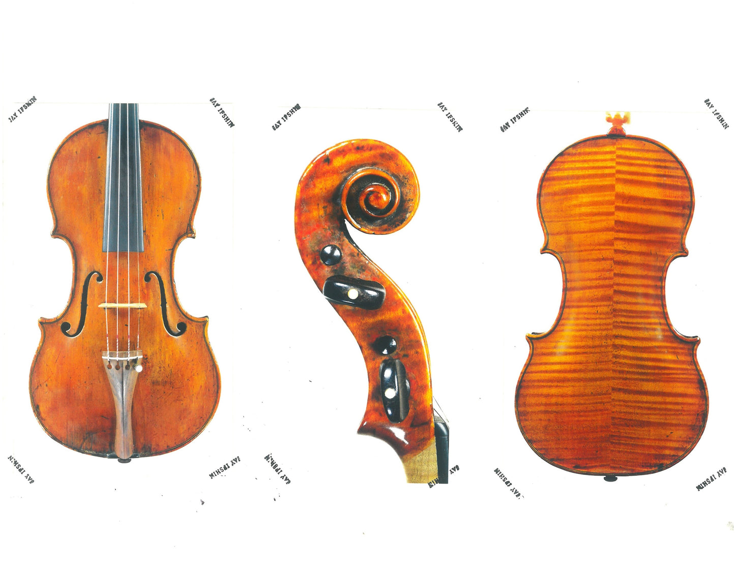 G.B. Gabrielli violin, 1763, Florence, with Ifshin certificate | Metzler Violins