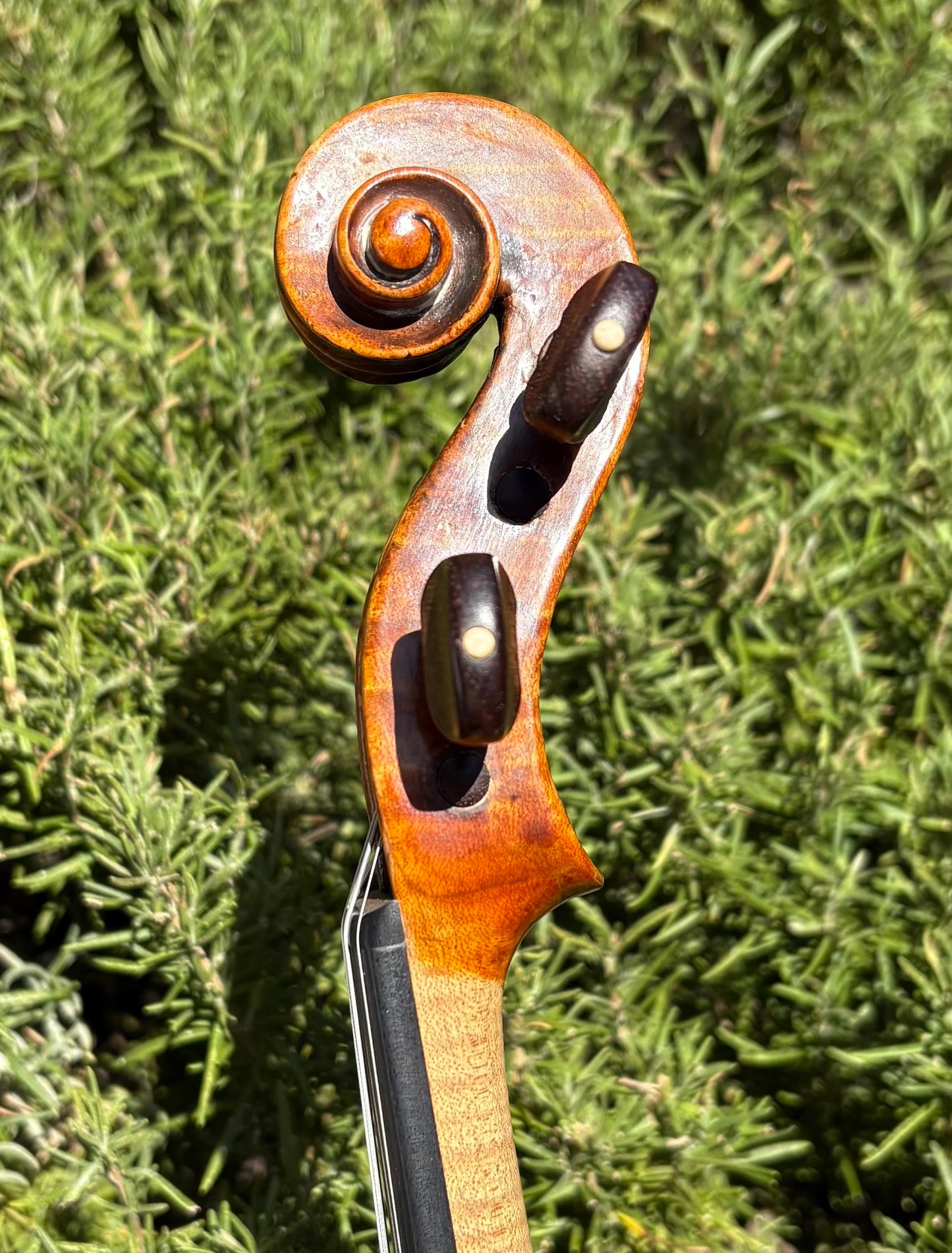 G.B. Gabrielli violin, 1763, Florence, with Ifshin certificate | Metzler Violins