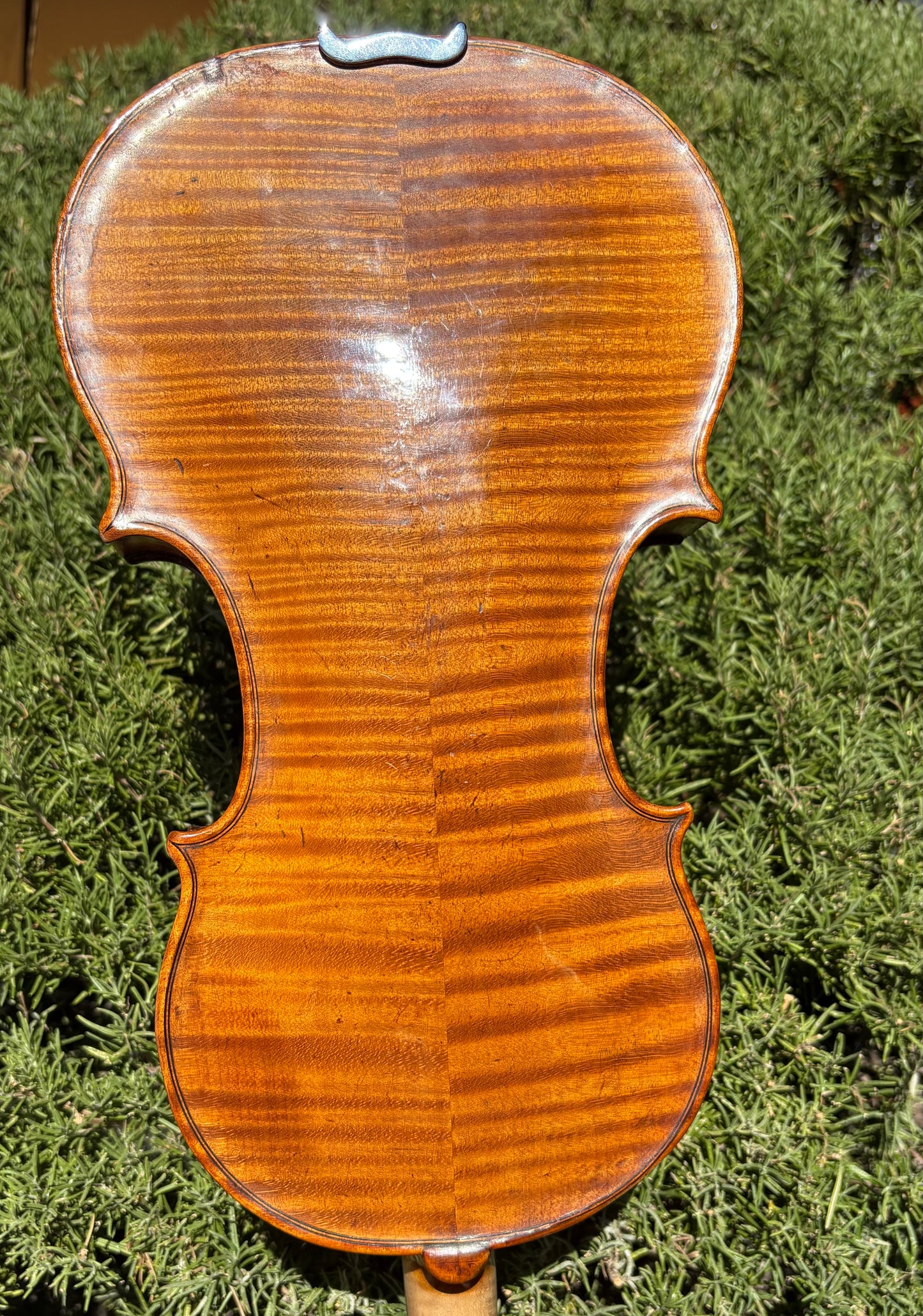 G.B. Gabrielli violin, 1763, Florence, with Ifshin certificate | Metzler Violins