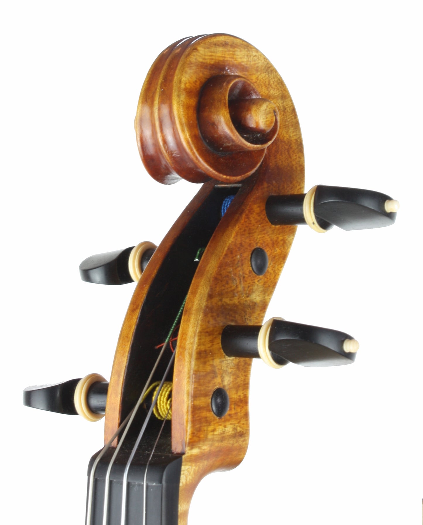 George Yu Amati model violin, 2024, Louisville, Kentucky | Metzler Violins