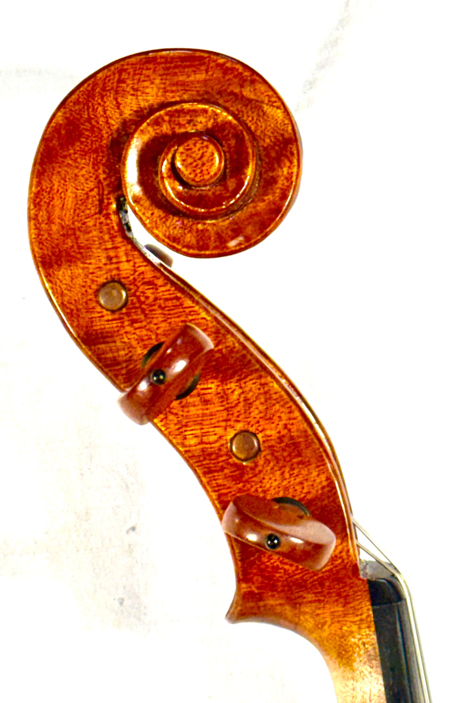 William Atwood 16 1/16" viola, Opus 79, 2025, Bonny Doon, California | Metzler Violins