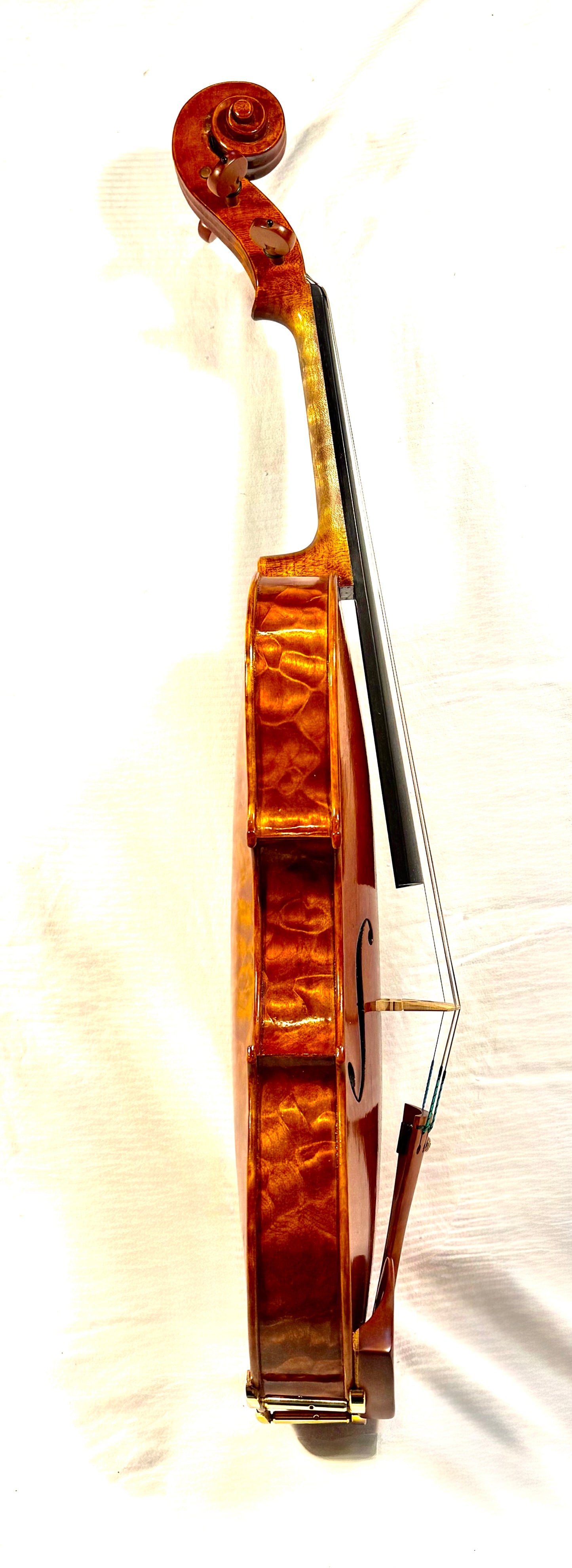 William Atwood 16 1/16" viola, Opus 79, 2025, Bonny Doon, California | Metzler Violins