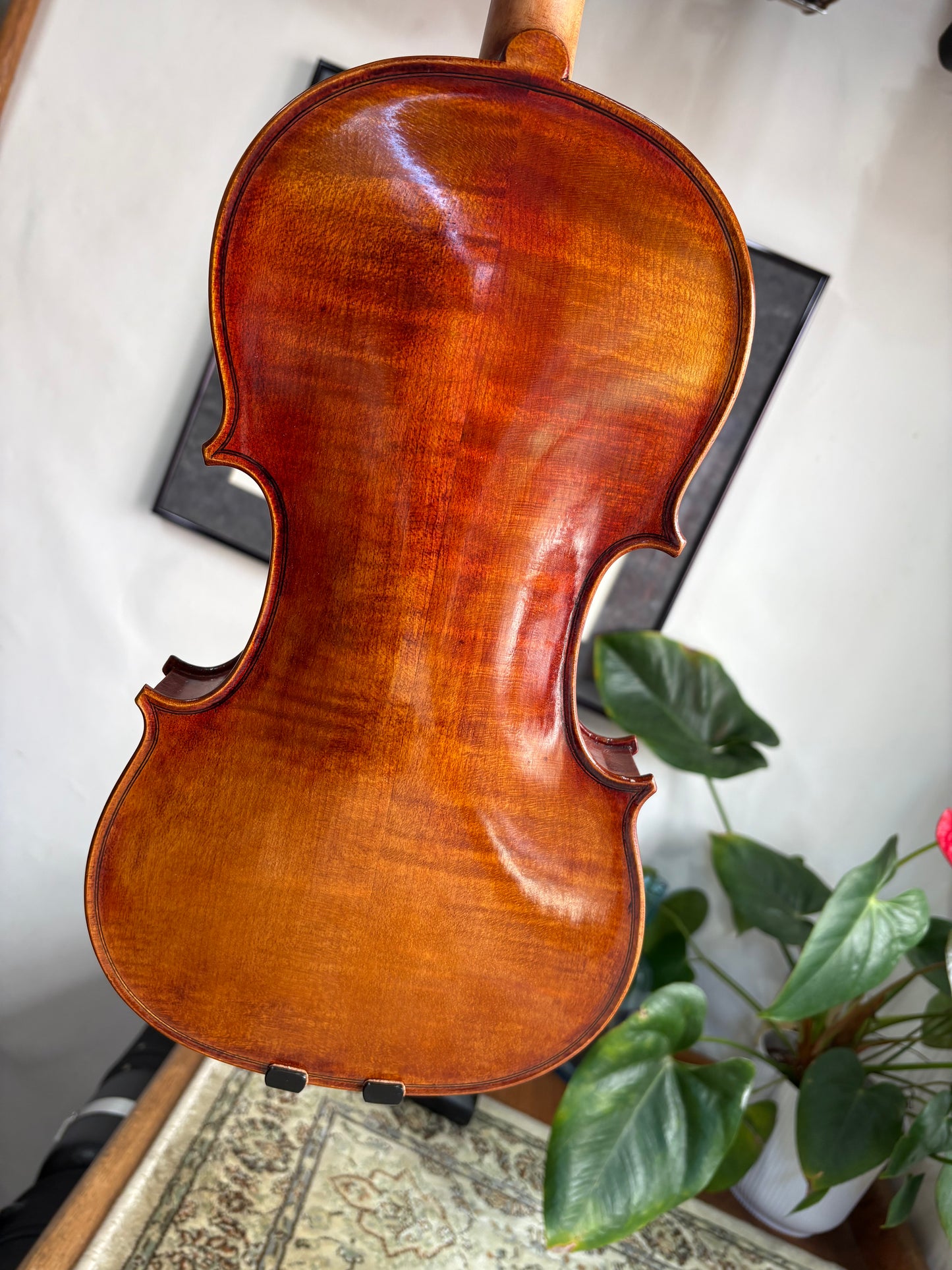 "Solare" 4/4 violin, 2023 | Metzler Violins