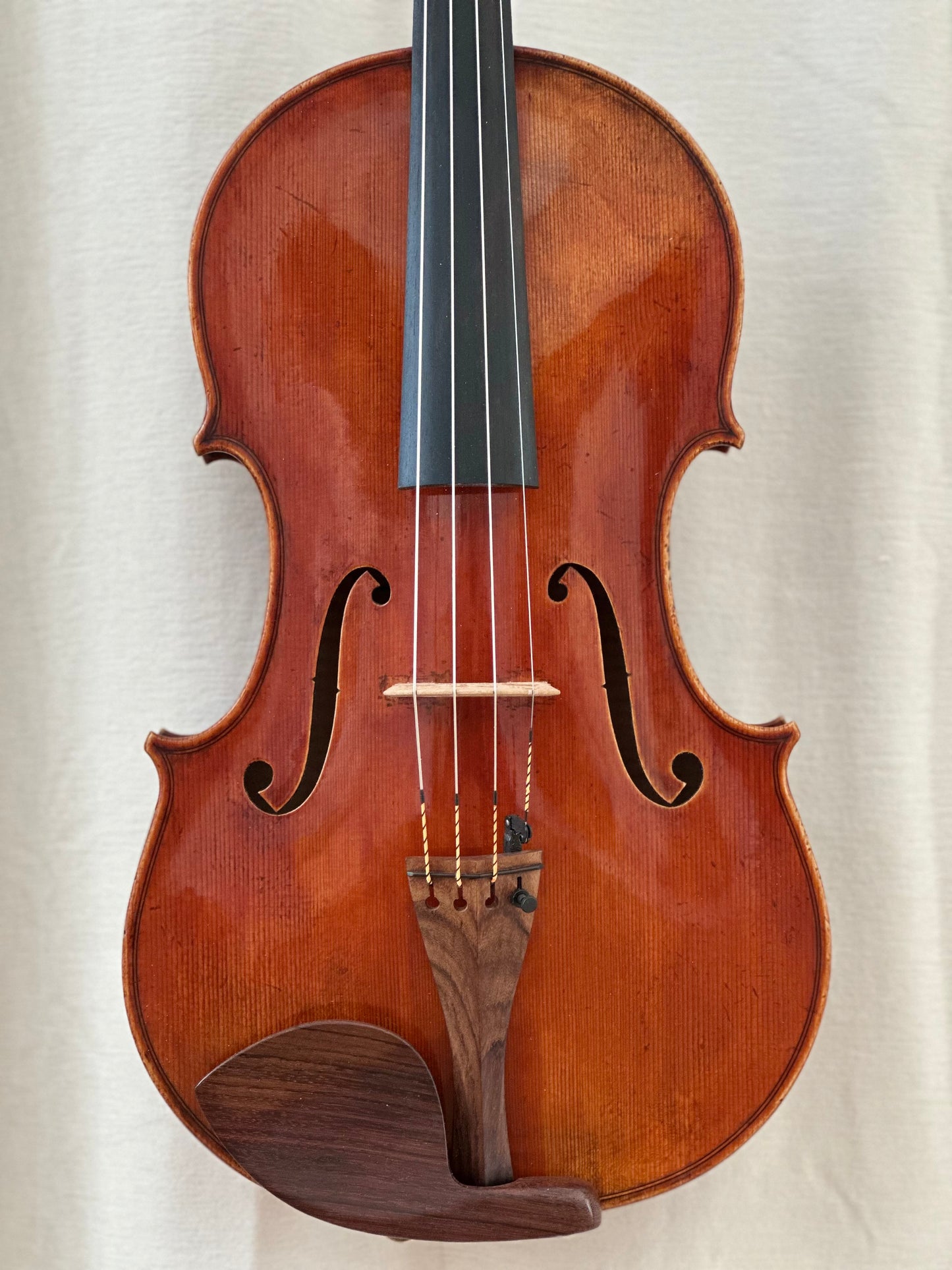 A. Tzankow 16 1/8" viola, 2025, Lakewood, Colorado, USA | Metzler Violins