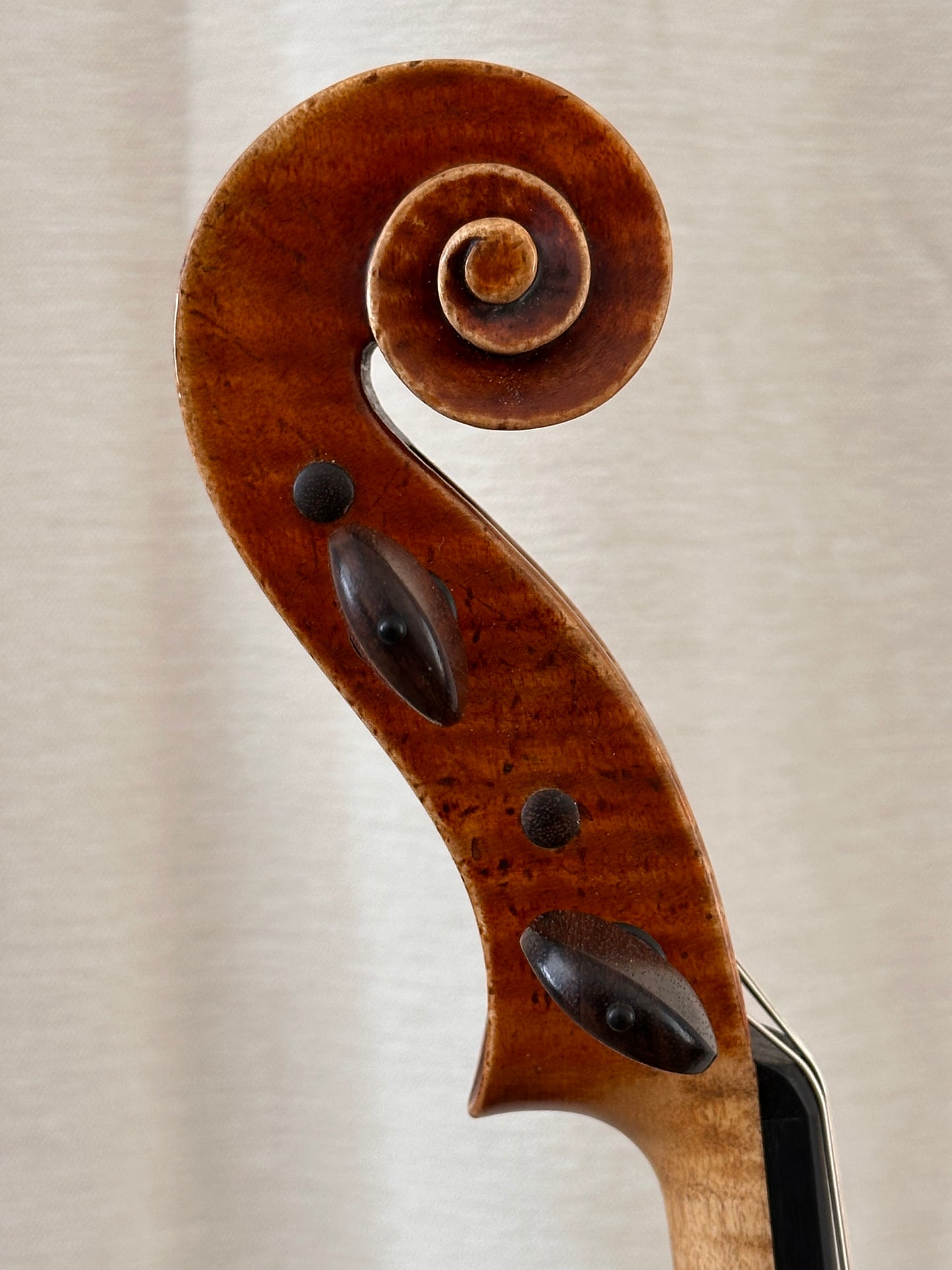 A. Tzankow 16 1/8" viola, 2025, Lakewood, Colorado, USA | Metzler Violins