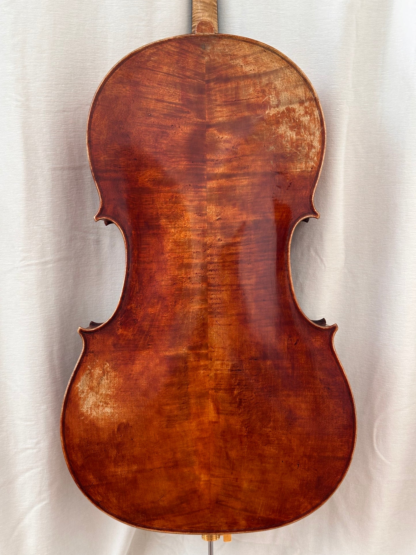 A. Tzankow cello, 2024, Lakewood, Colorado, USA | Metzler Violins