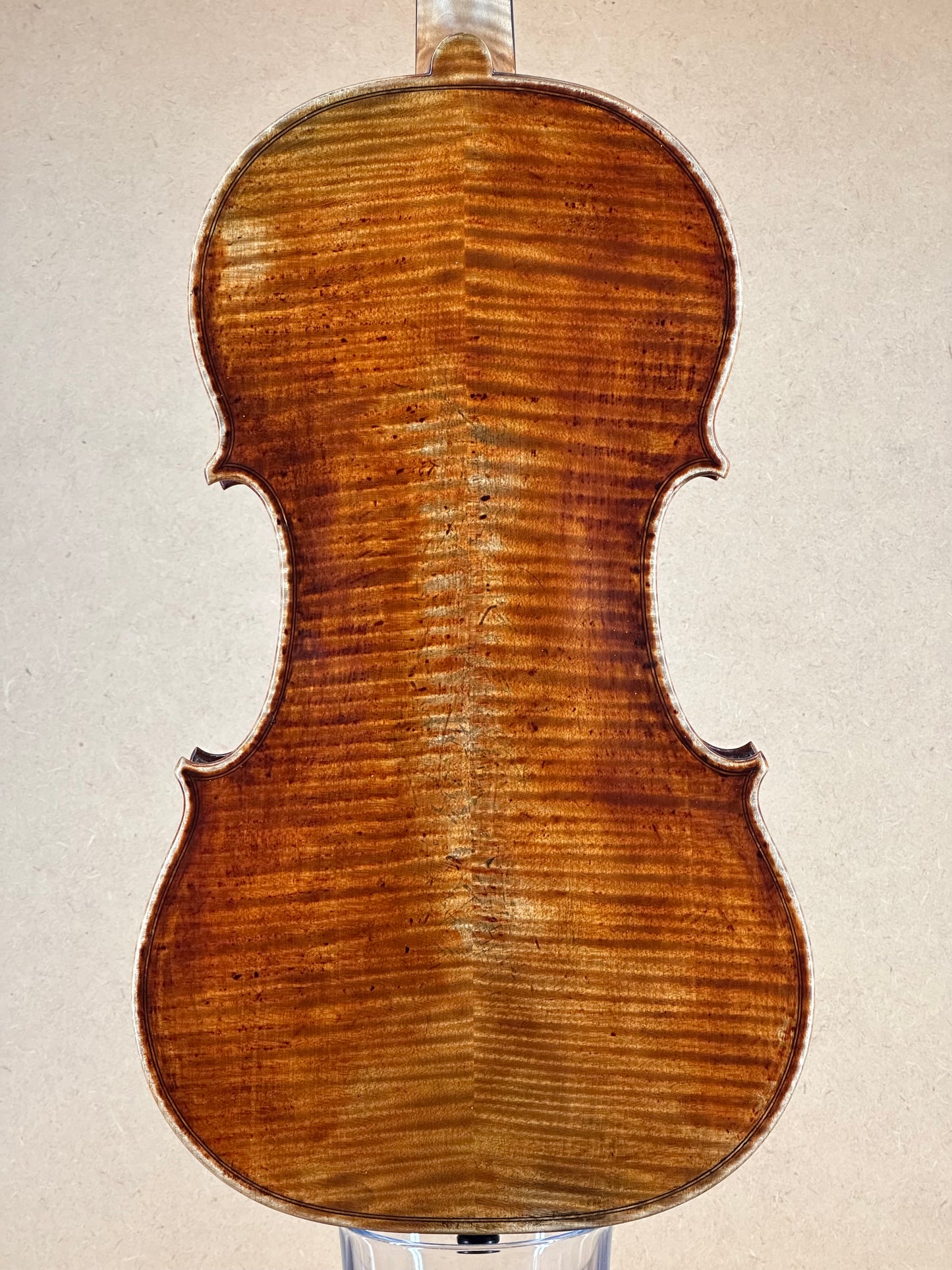 Alexander Tzankow violin, 2025, Lakewood, Colorado | Metzler Violins
