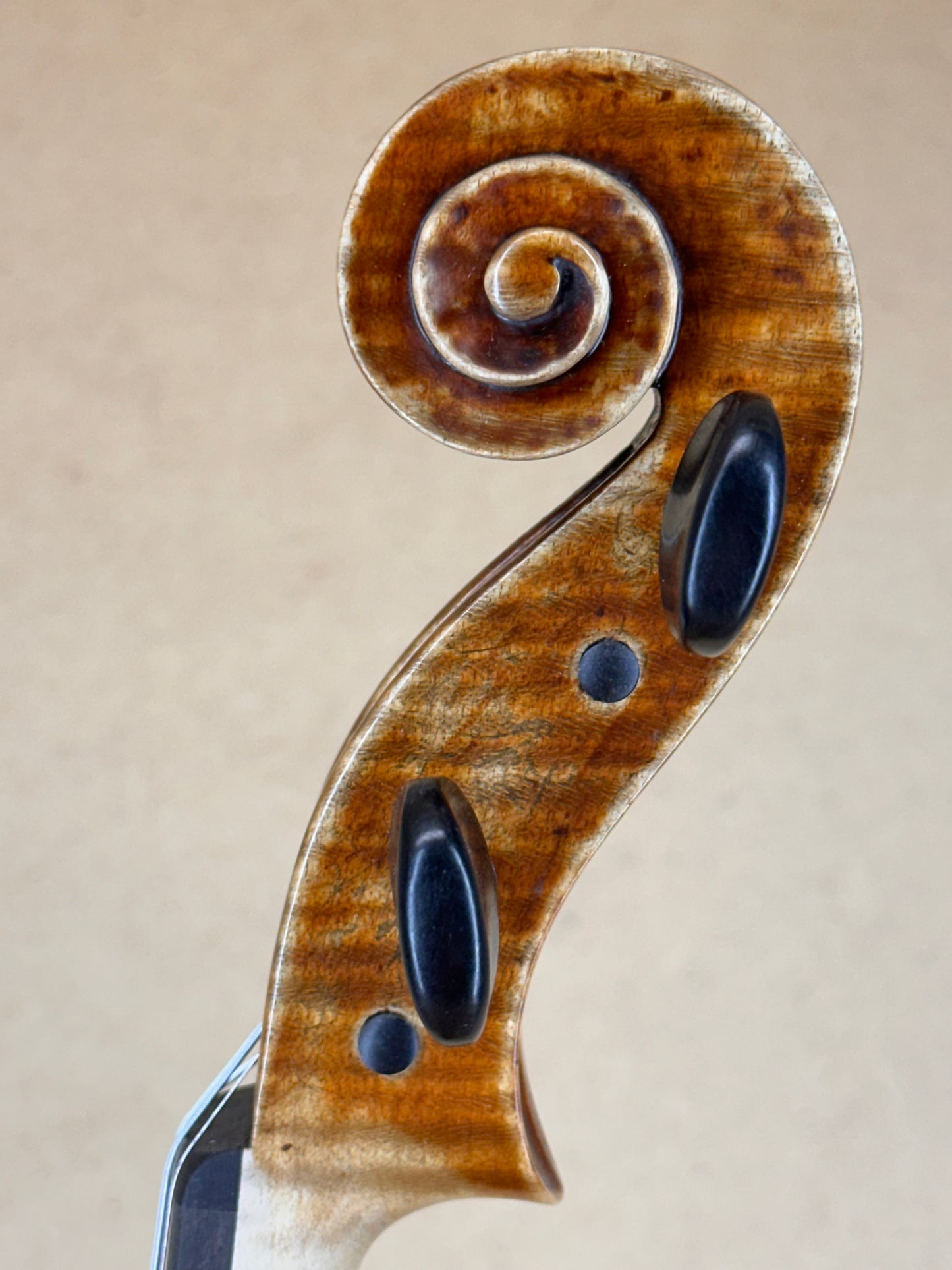 Alexander Tzankow violin, 2025, Lakewood, Colorado | Metzler Violins