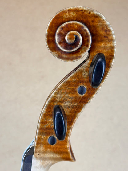 Alexander Tzankow violin, 2025, Lakewood, Colorado | Metzler Violins