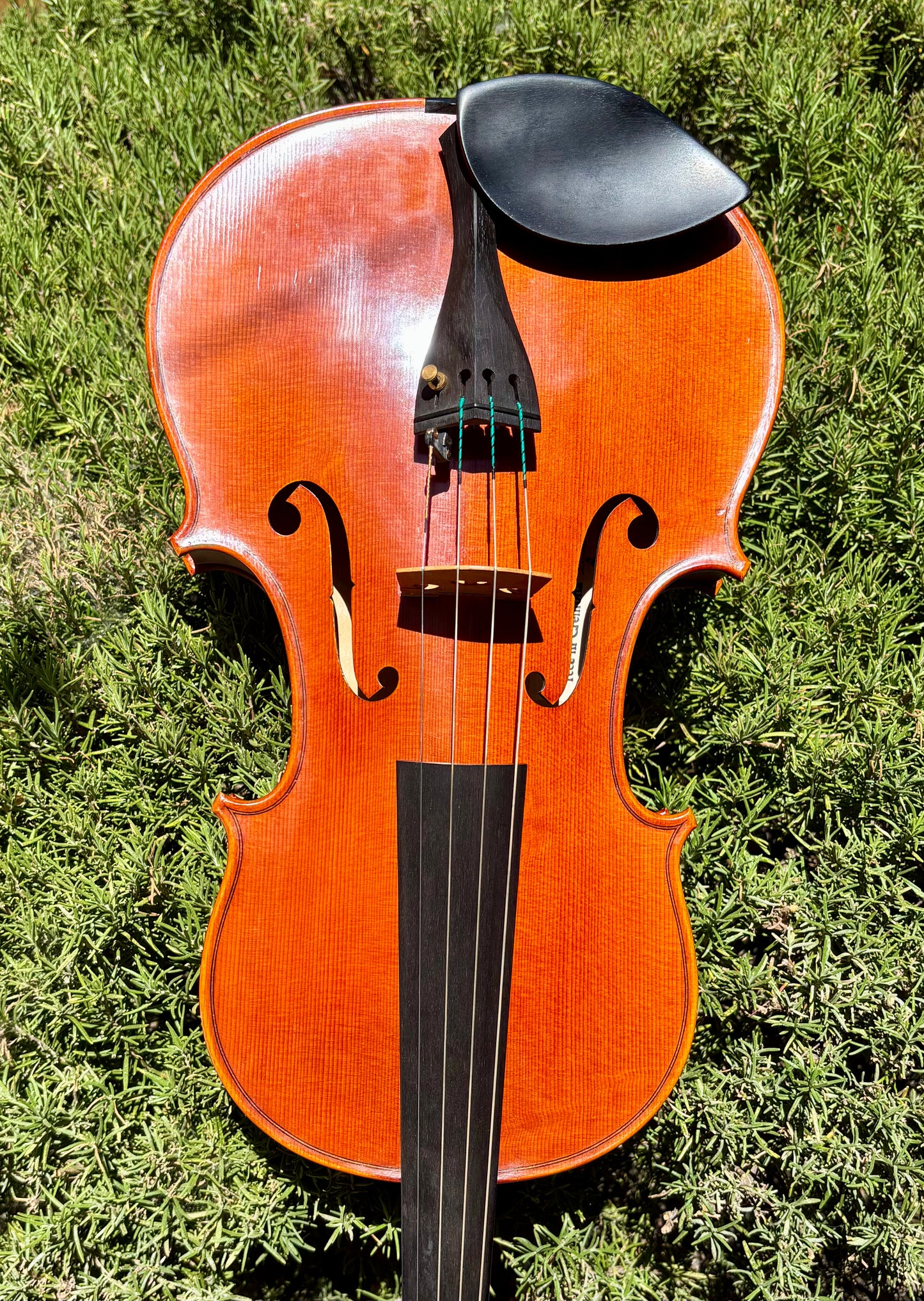 Silvio Levaggi 16 1/8" viola, 2000, Cremona | Metzler Violins