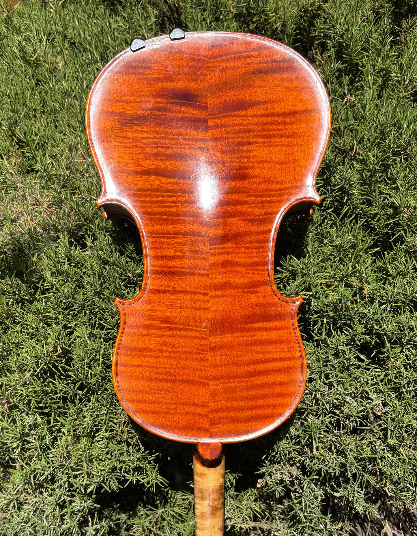 Silvio Levaggi 16 1/8" viola, 2000, Cremona | Metzler Violins