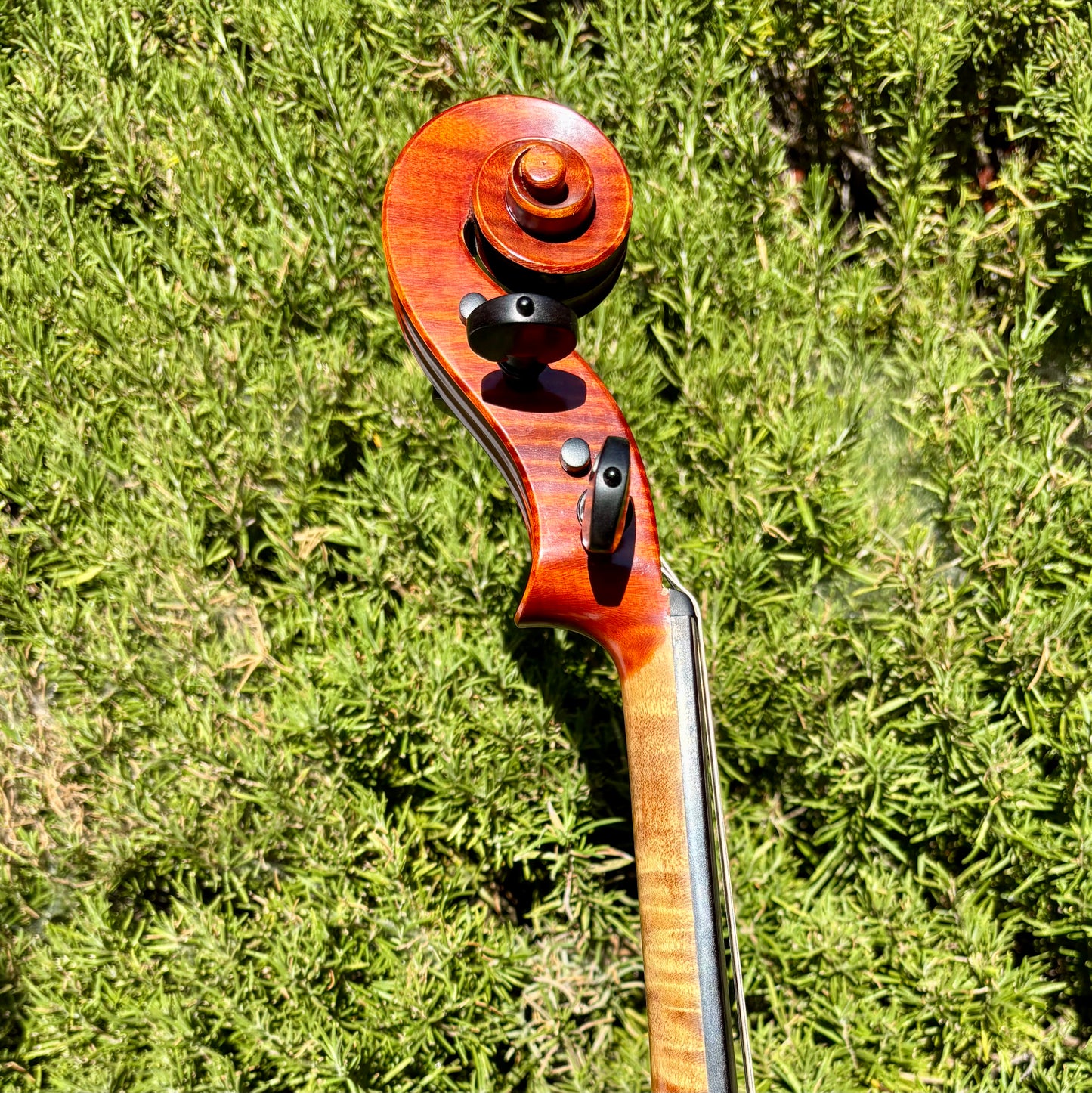 Silvio Levaggi 16 1/8" viola, 2000, Cremona | Metzler Violins