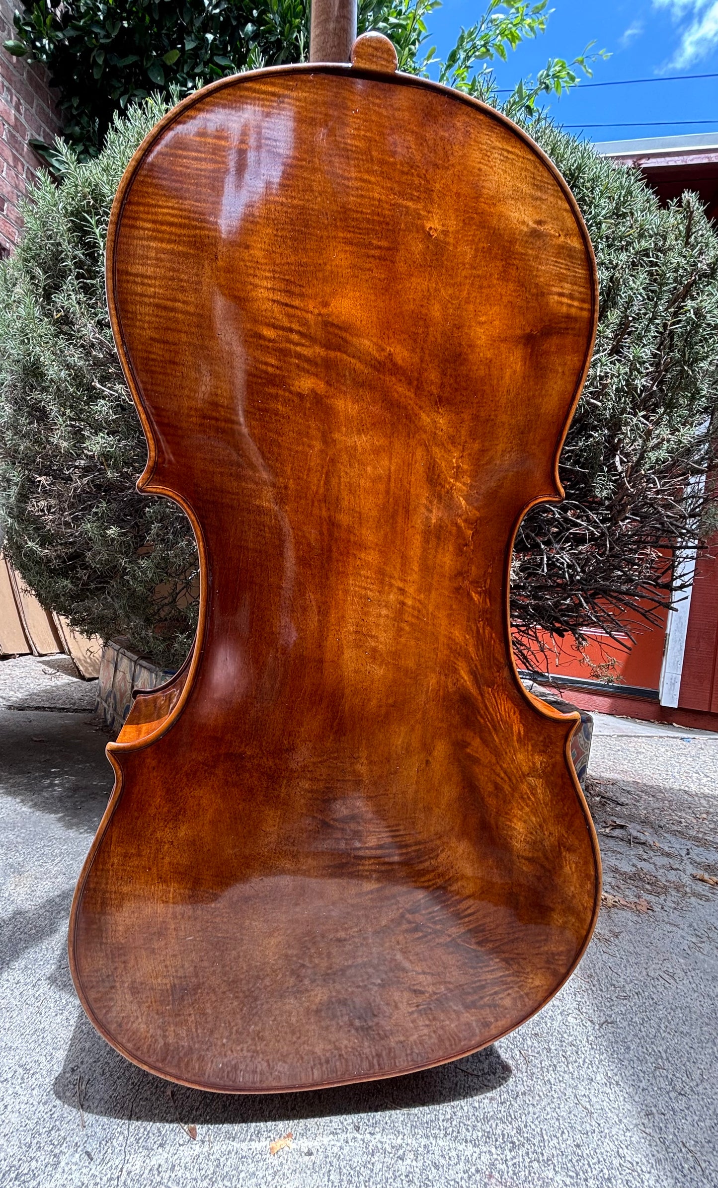 Wojciech Topa master cello, Guarneri model, 2025, Zakopane | Metzler Violins