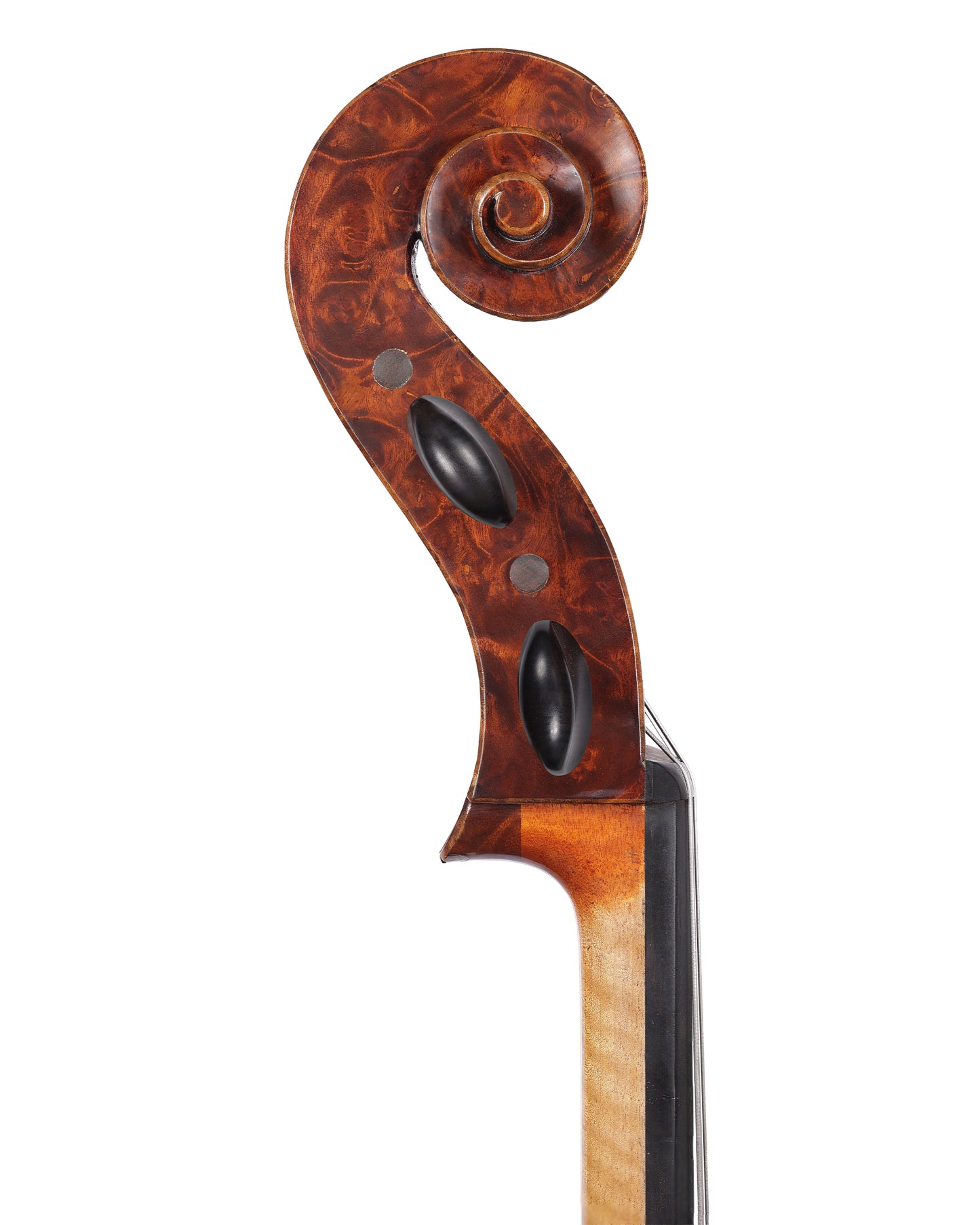 Birdseye maple cello with spectacular wood | Metzler Violins