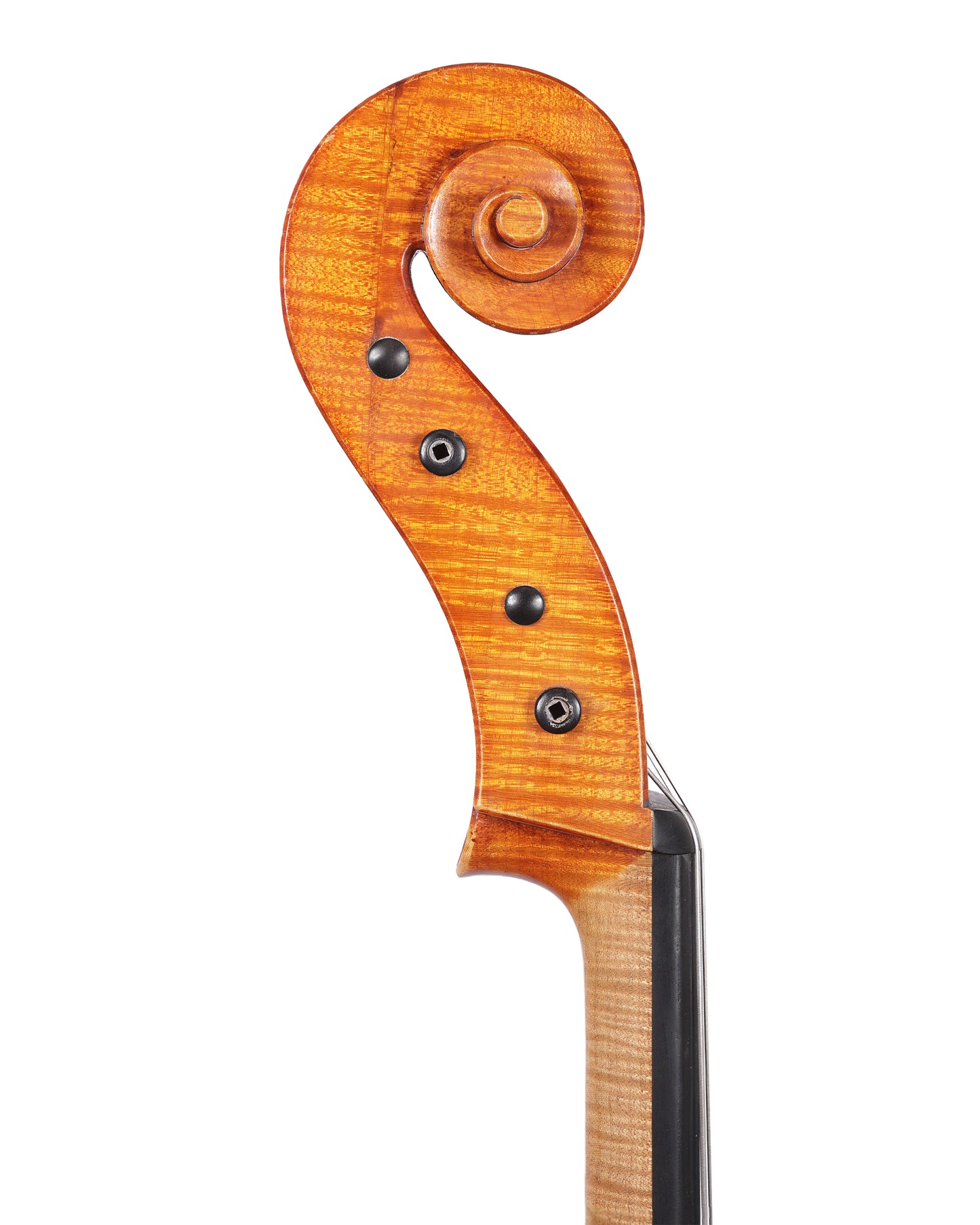 Carlos Funes Vitanza cello, 2008, San Francisco, highly figured poplar | Metzler Violins