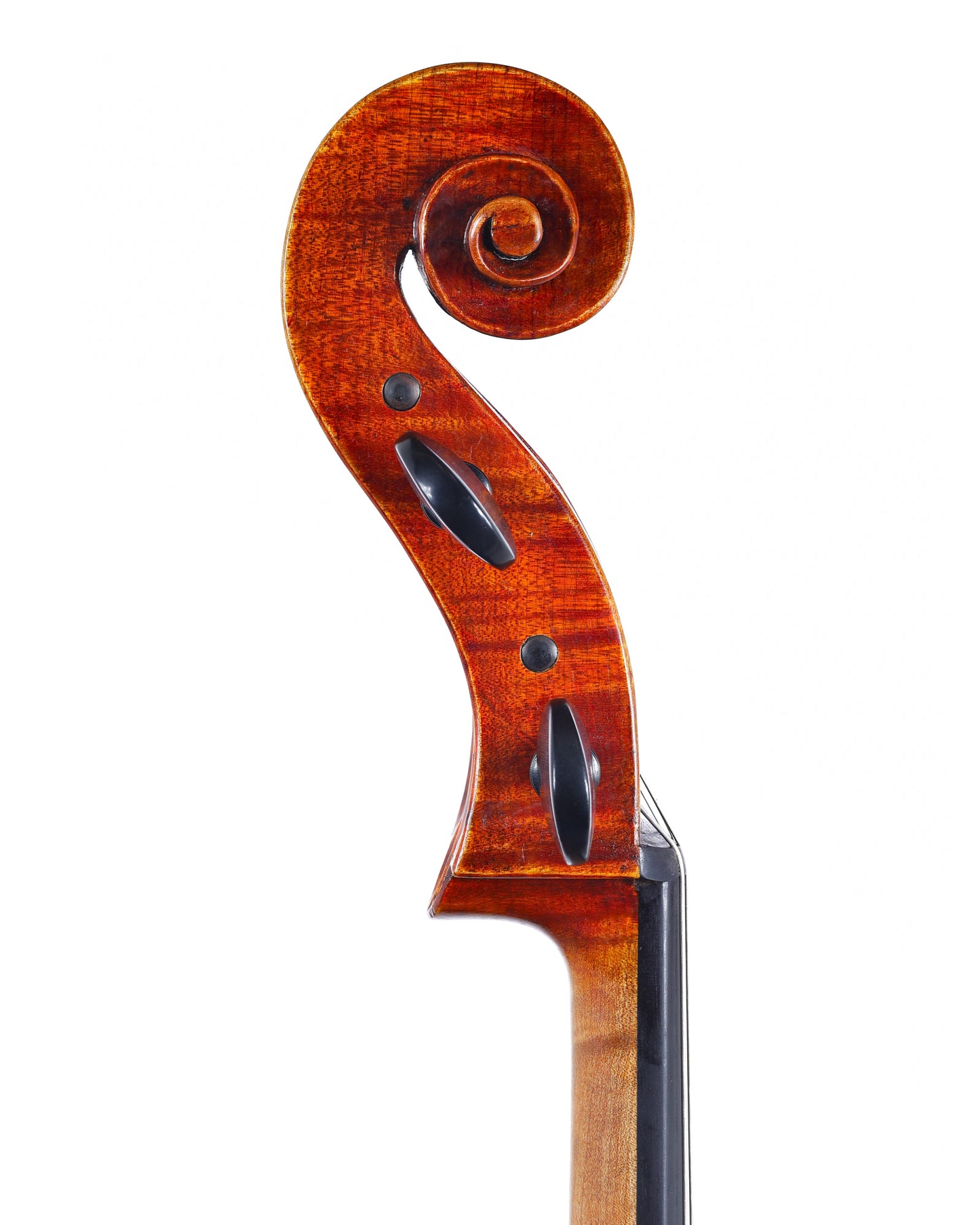 Kurt Robert Jones cello, 2024, Joseph Guarneri filius Andrea model, Honolulu | Metzler Violins