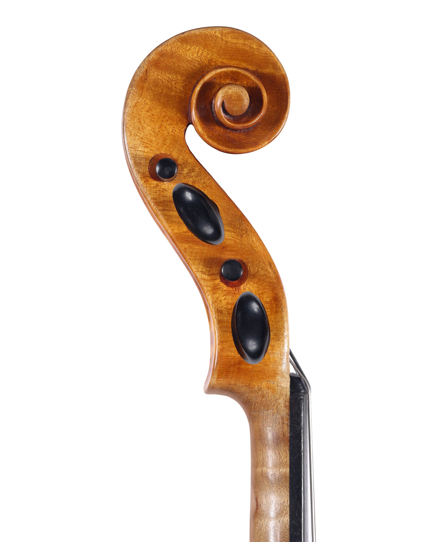 E.H. Roth 17" Strad model viola, 1957, Erlangen | Metzler Violins