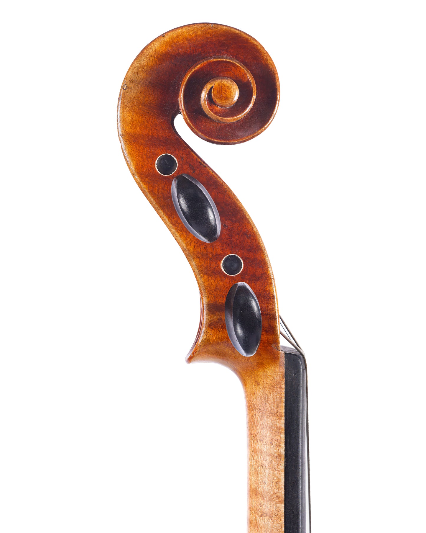 Emilia antiqued 15.5" viola | Metzler Violin Shop