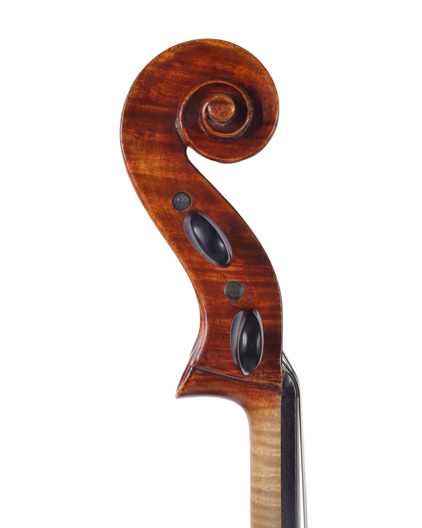 Jago Peternella 16 1/4" viola, 1965, di Venezia (San Diego) | Metzler Violins