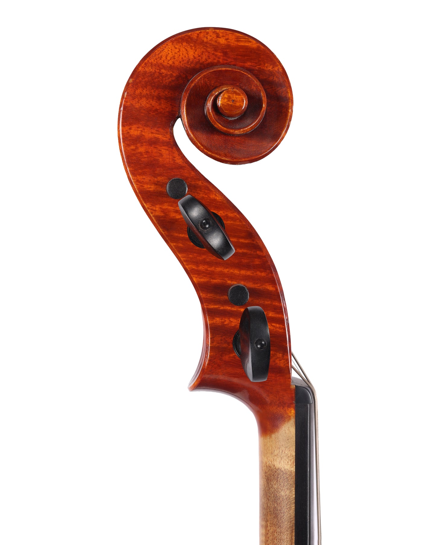 Silvio Levaggi 16 1/8" viola, 2000, Cremona | Metzler Violins