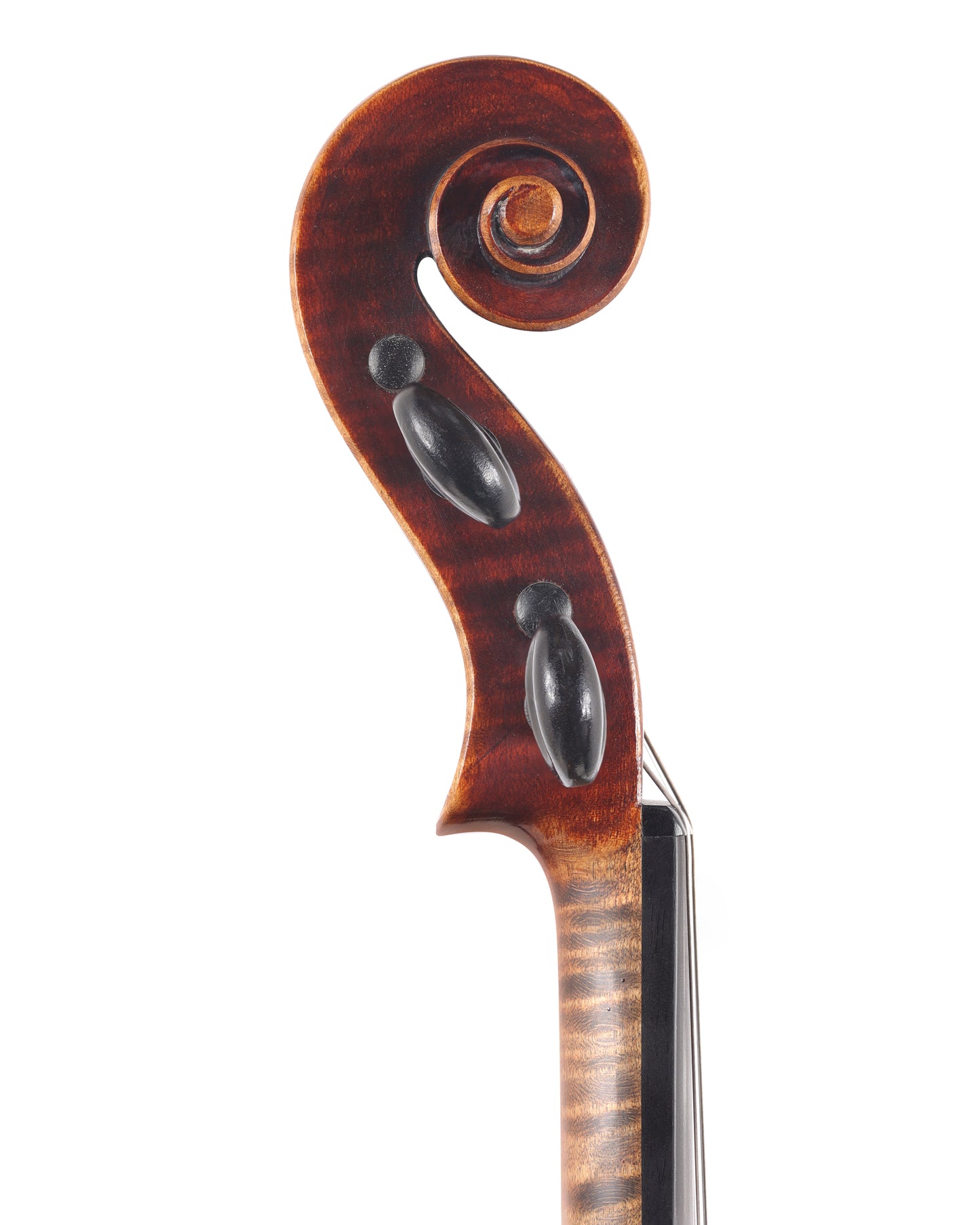 A.E. Fischer violin, #412, ca 1910, Bremen, GERMANY