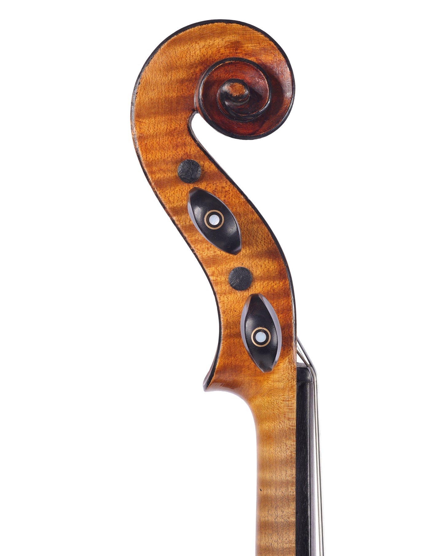 Adler Strad model violin ca. 1920, Germany | Metzler Violins