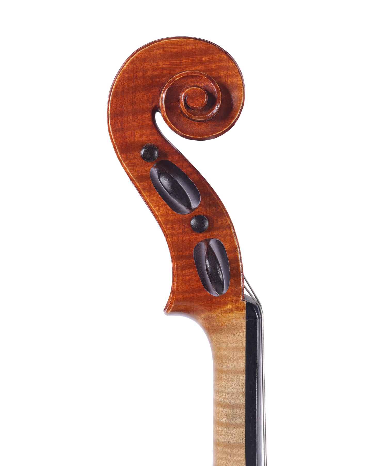 ALBERT CARL MULLER 4/4 violin, 1982 Sacramento