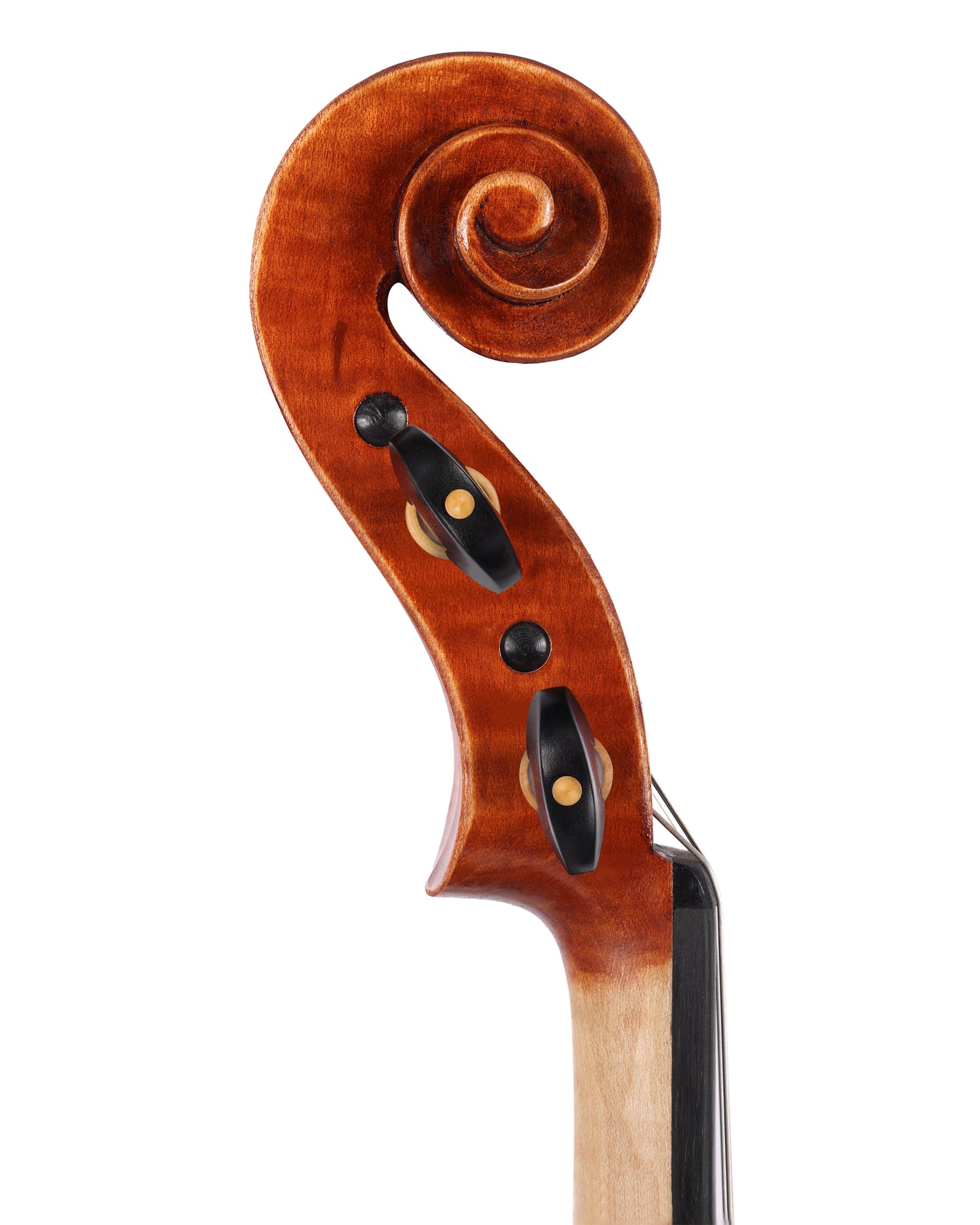 Atelier Negri Roma violin, Guarneri del Gesu model | Metzler Violins