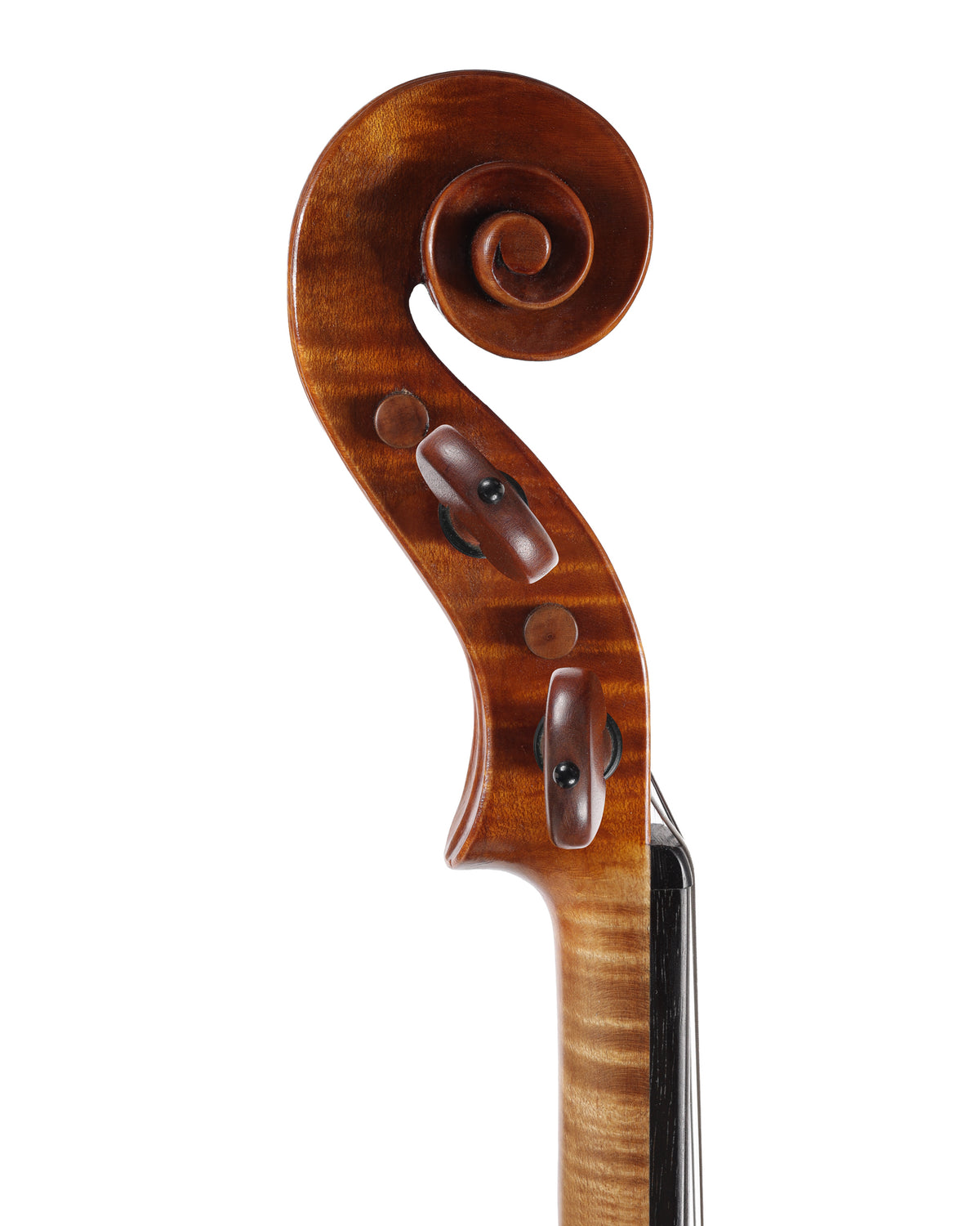 Frank E. Davis violin, Minneapolis, 1980 | Metzler Violins