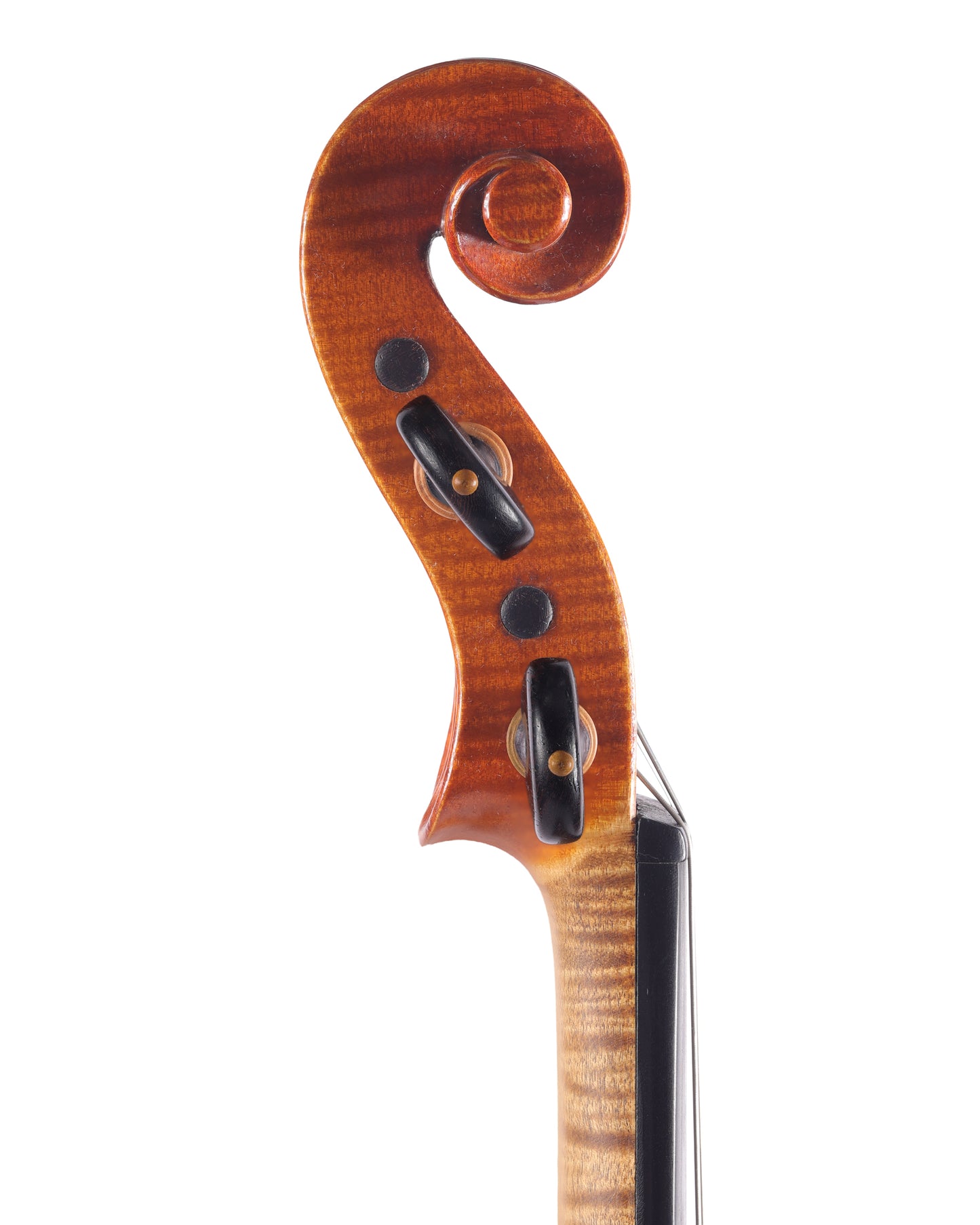 Hans Schirmer violin, Caspar da Salo model, Adorf ca 1930 | Metzler Violins