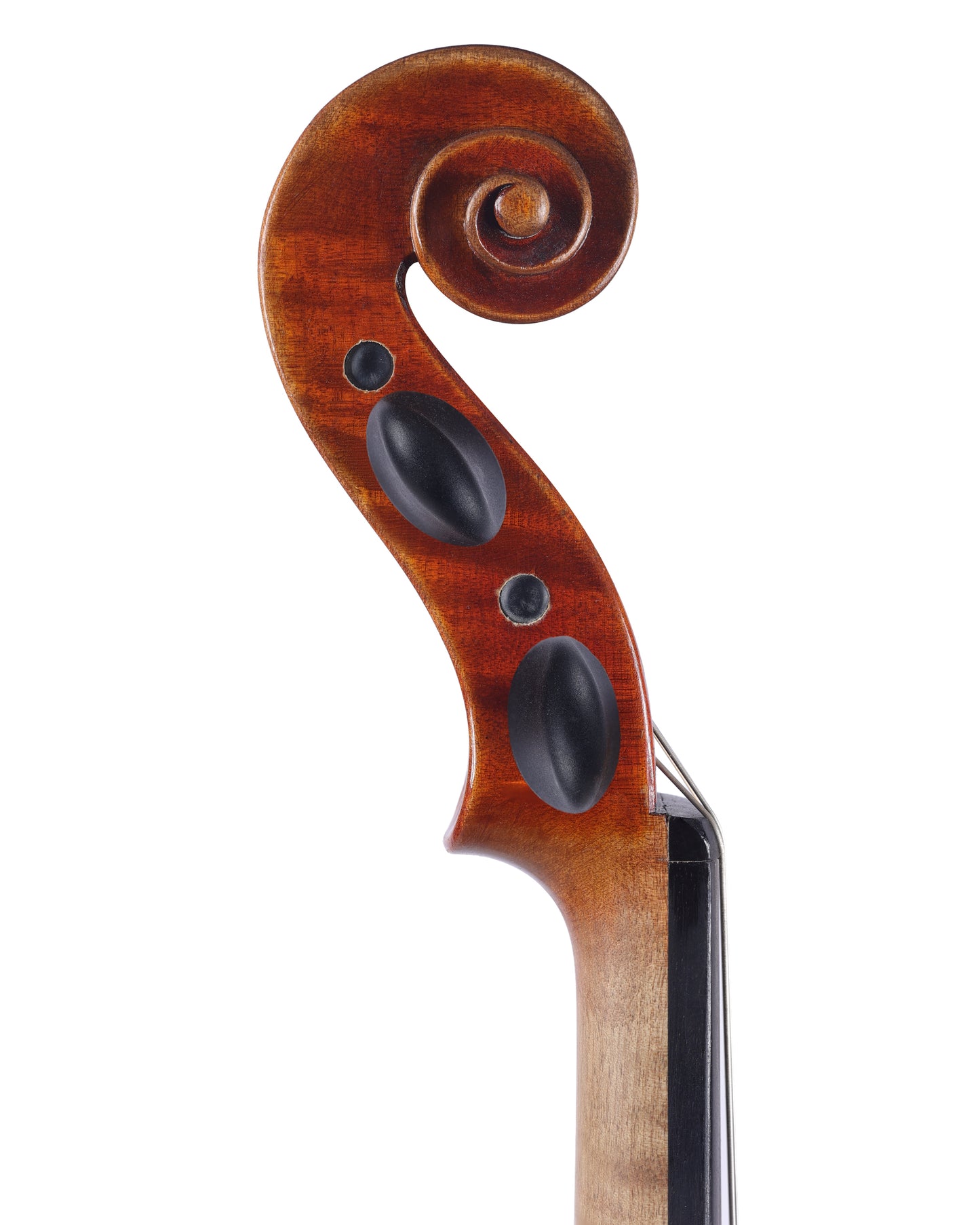 Jay Haide Guarneri 4/4 Violin 2022 | Metzler Violins