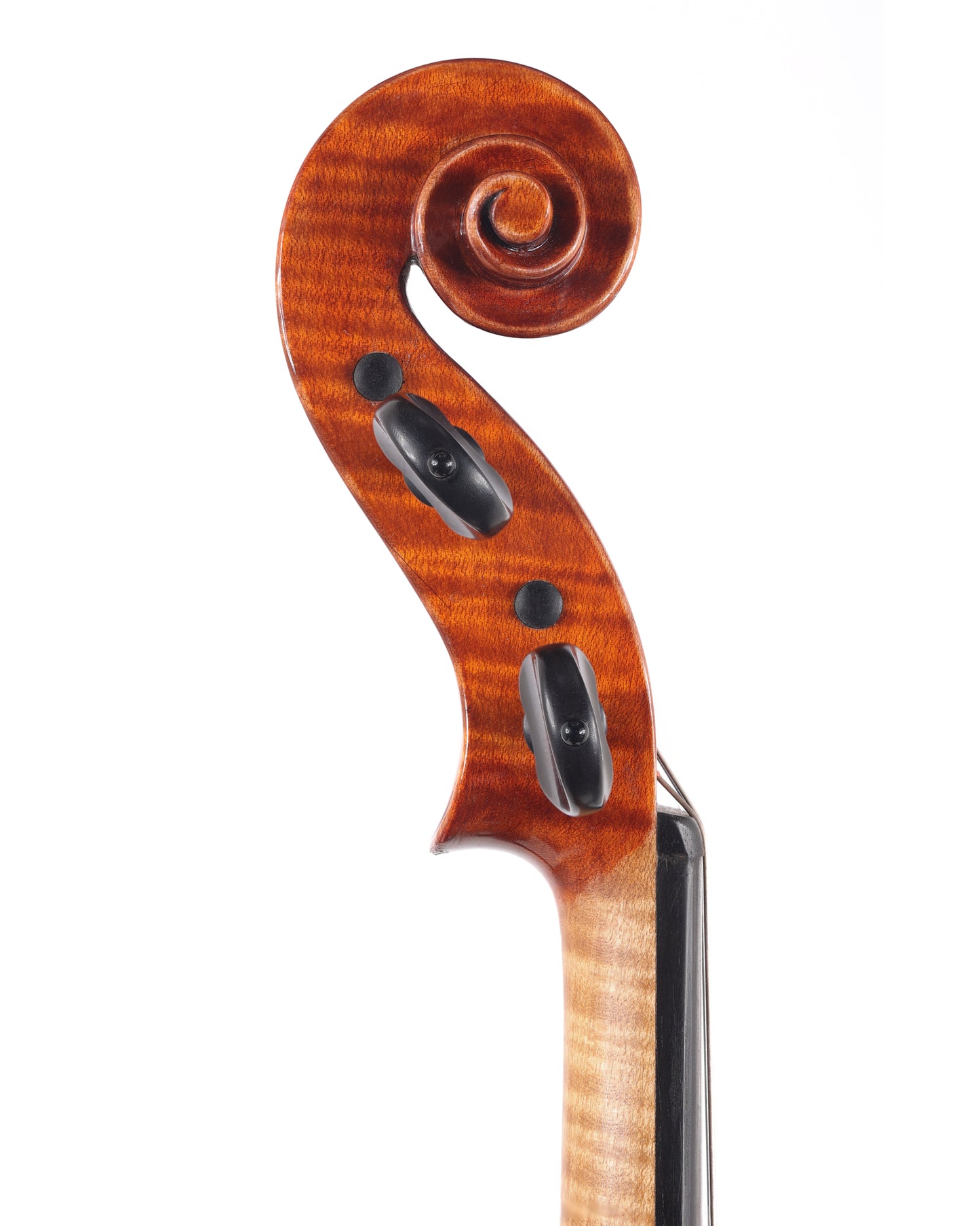 JOSEF HOLPUCH violin #34, Luby, 1999 | Metzler Violins
