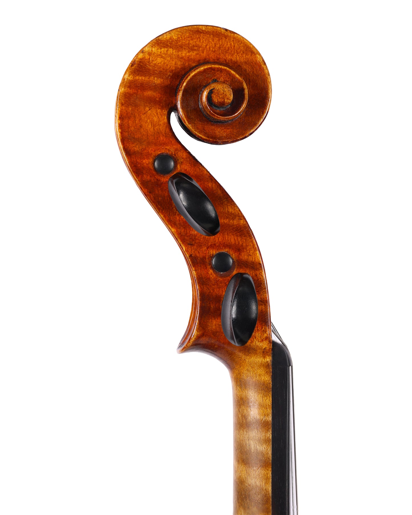 Joseph Collingwood violin, Ottumwa, Iowa, 1903 | Metzler Violins