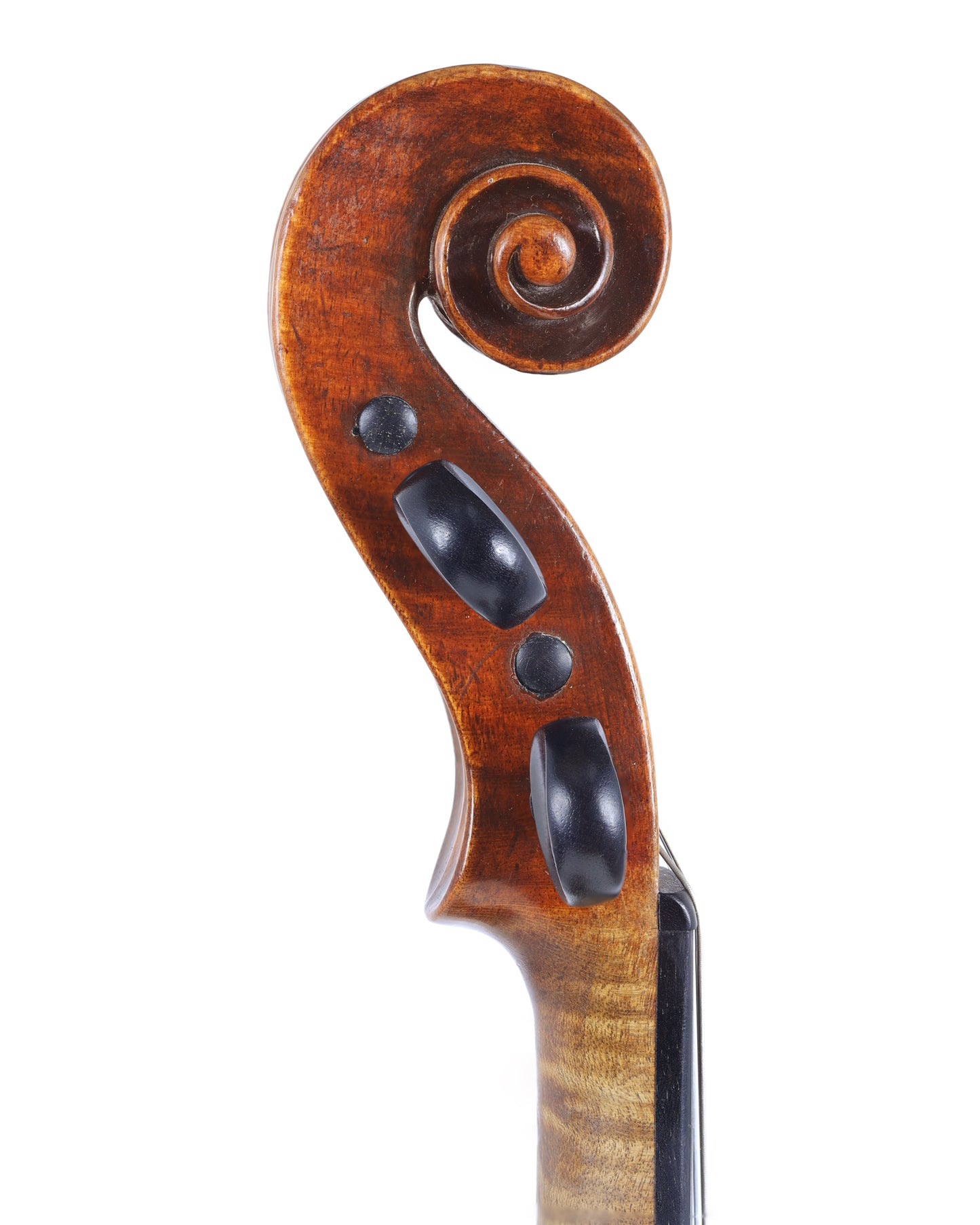 Joseph Nadotti label violin, European | Metzler Violins