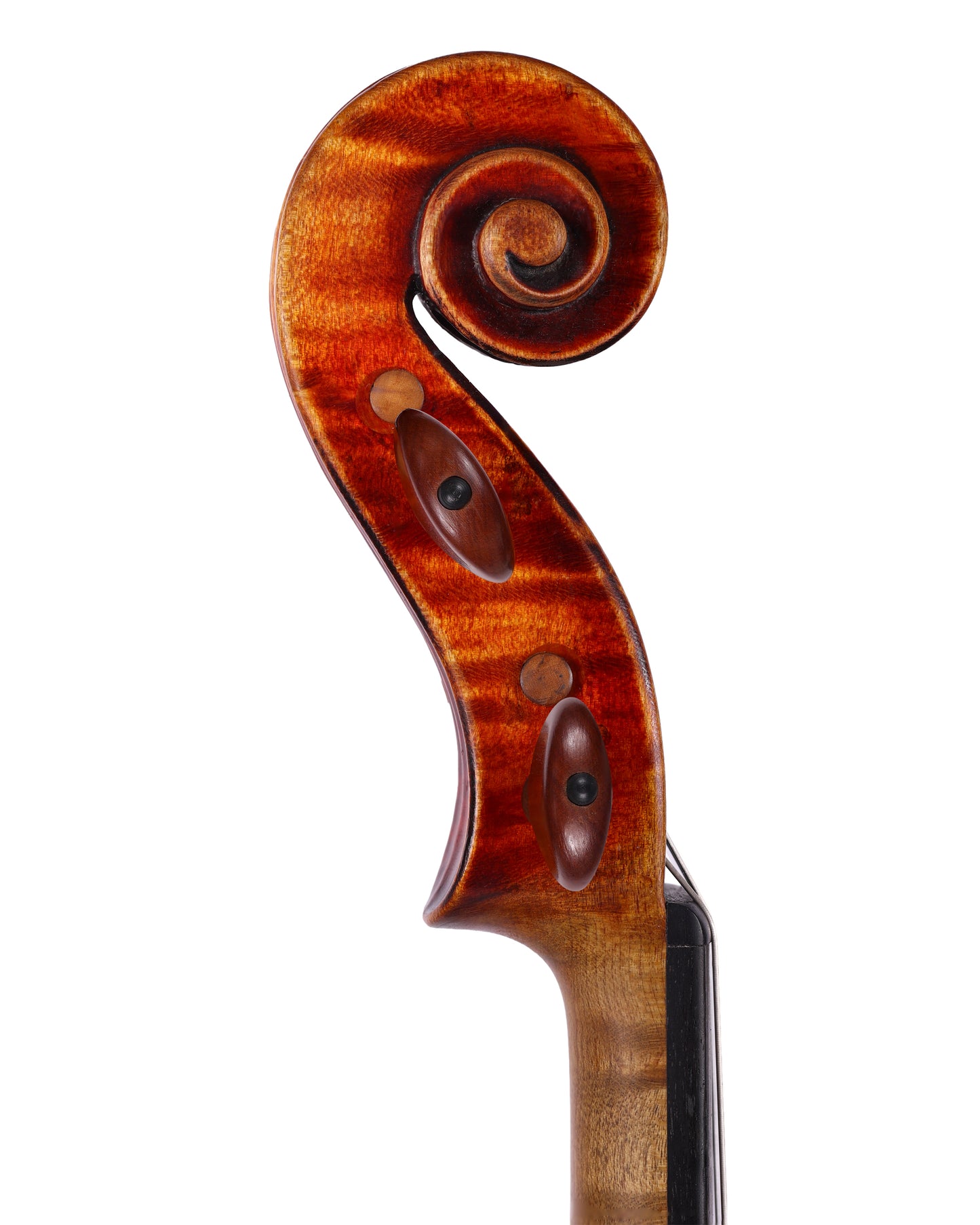 Pierre Hel violin, Lille, birds-eye maple, double-purfled | Metzler Violins
