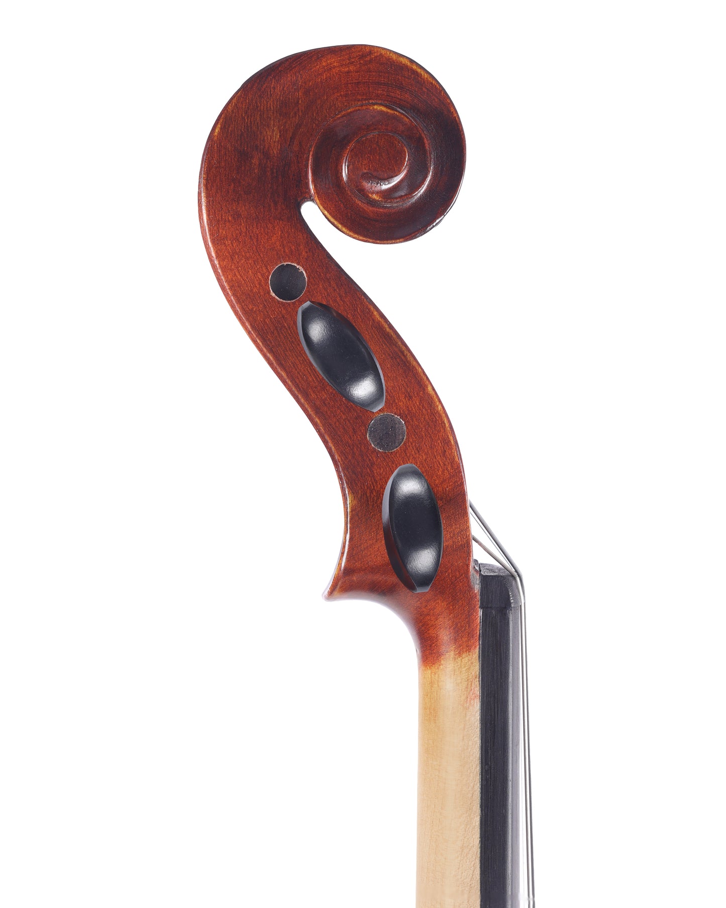 Amarilli 4/4 violin with free case, bow, rosin & polish cloth | Metzler Violins