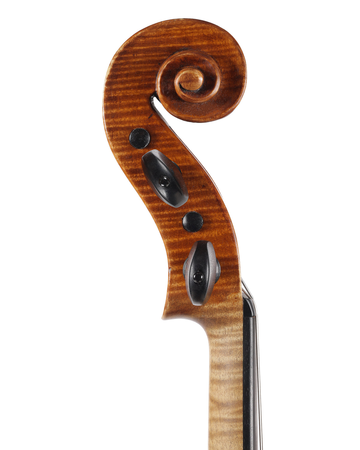 Wojciech Topa violin, Guarneri model 4/4, Zakopane 2015