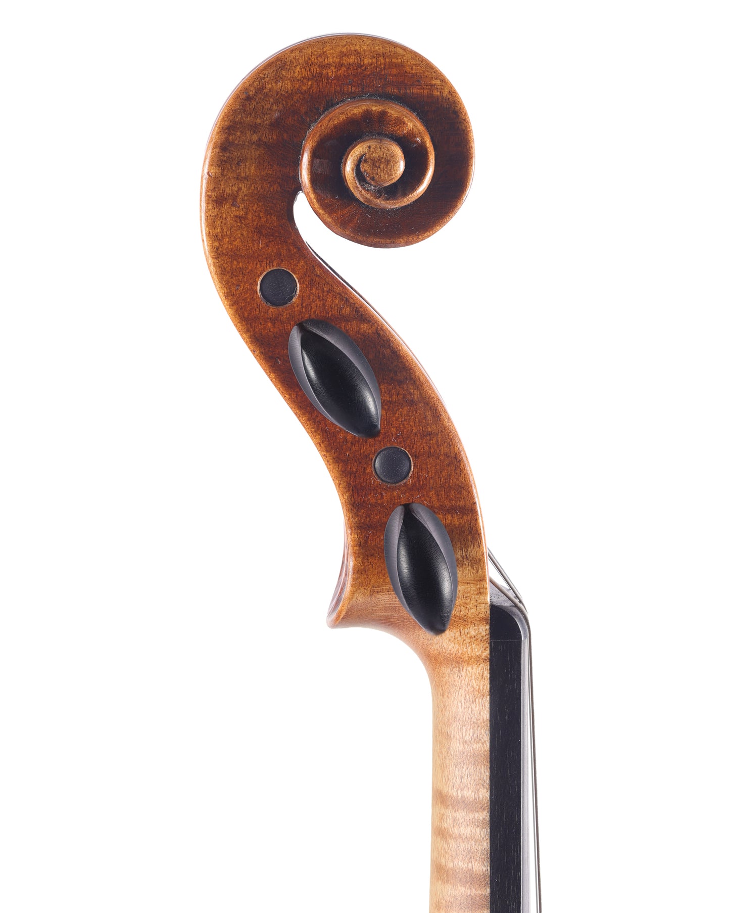 Wojciech Topa violin, Strad model, Zakopane 2025, POLAND | Metzler Violins