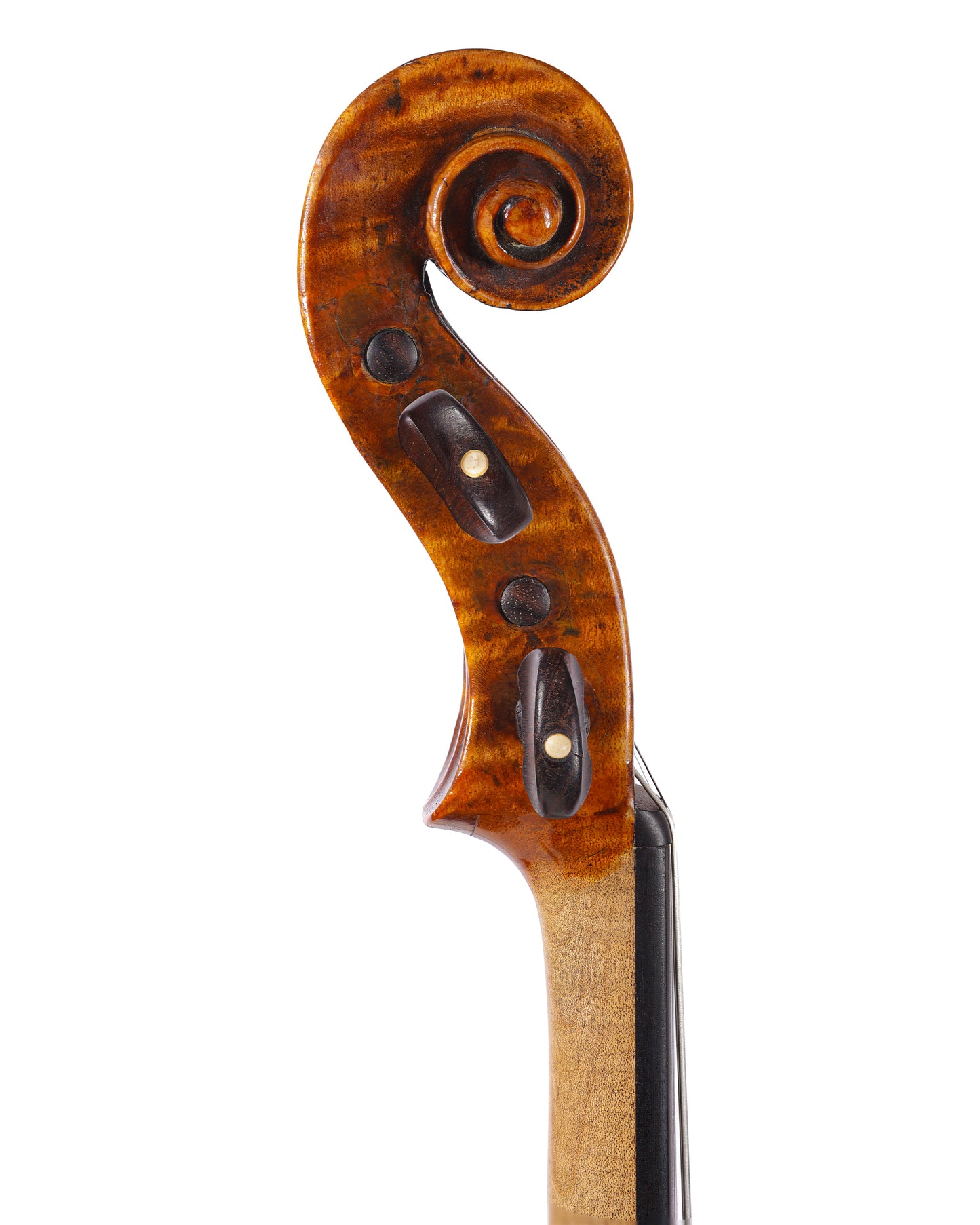 G.B. Gabrielli violin, 1763, Florence, with Ifshin certificate | Metzler Violins