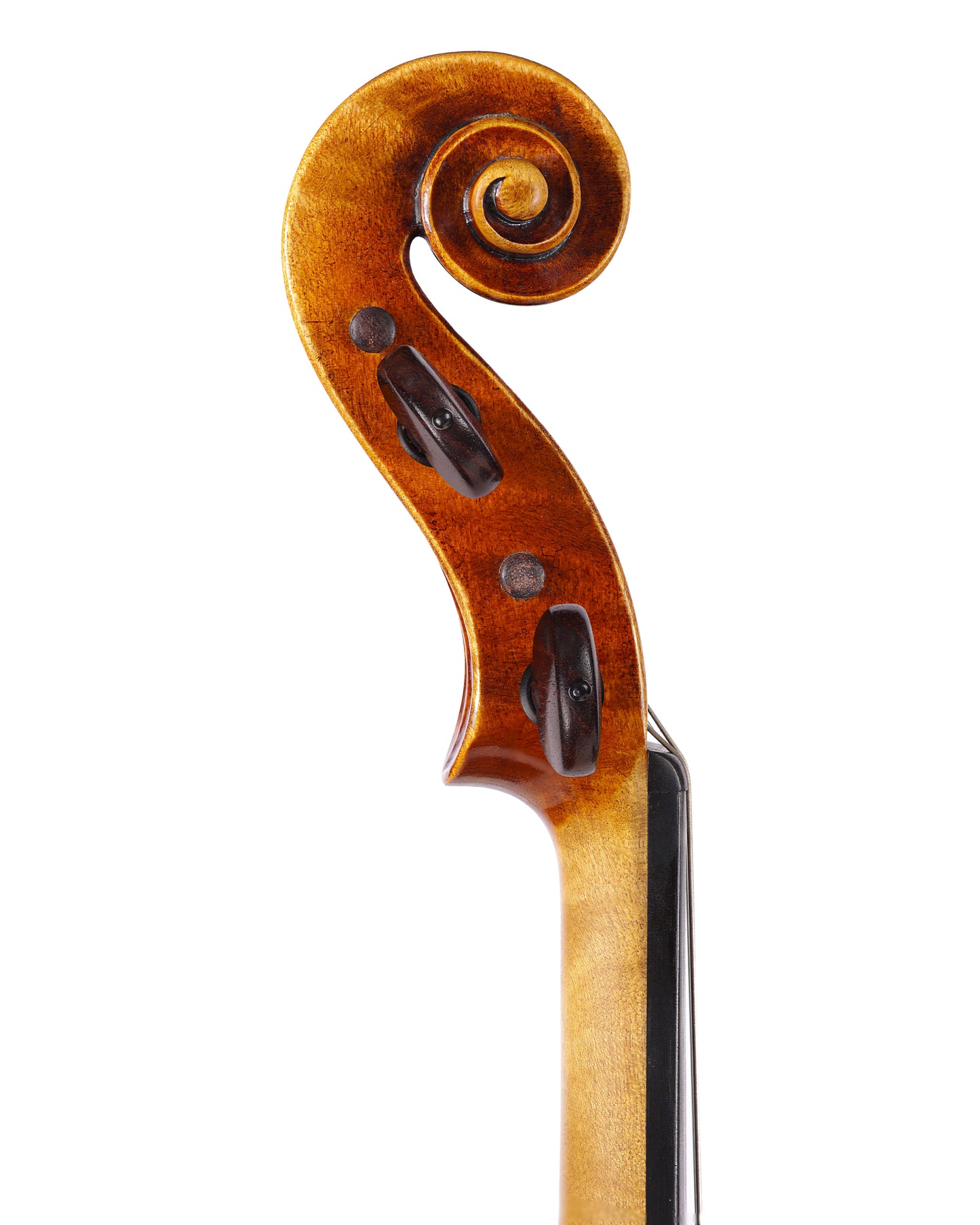 Gaspar Borchardt 4/4 violin, 2008, Cremona, ITALY | Metzler Violins