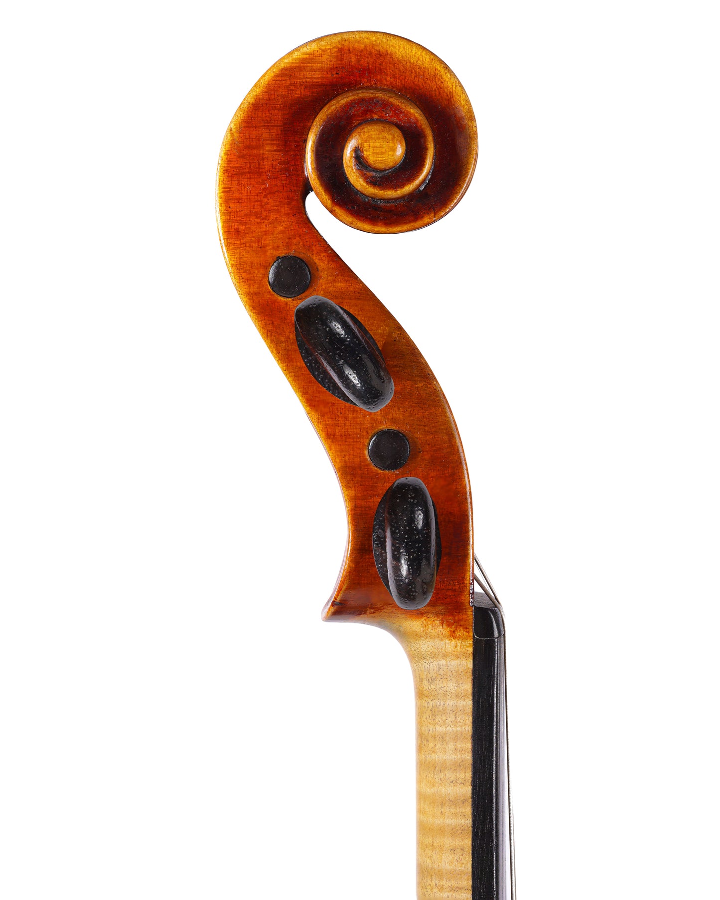 Giuseppe Scarampella 1901 label violin | Metzler Violins