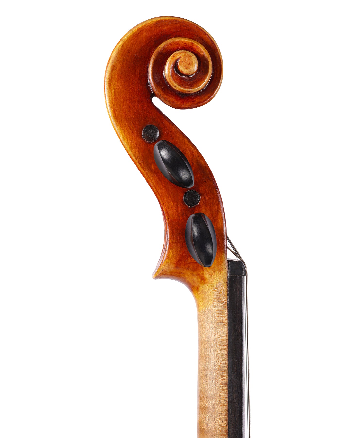 Michelle Brianna Ropp violin, 2023, with butterfly design | Metzler Violins